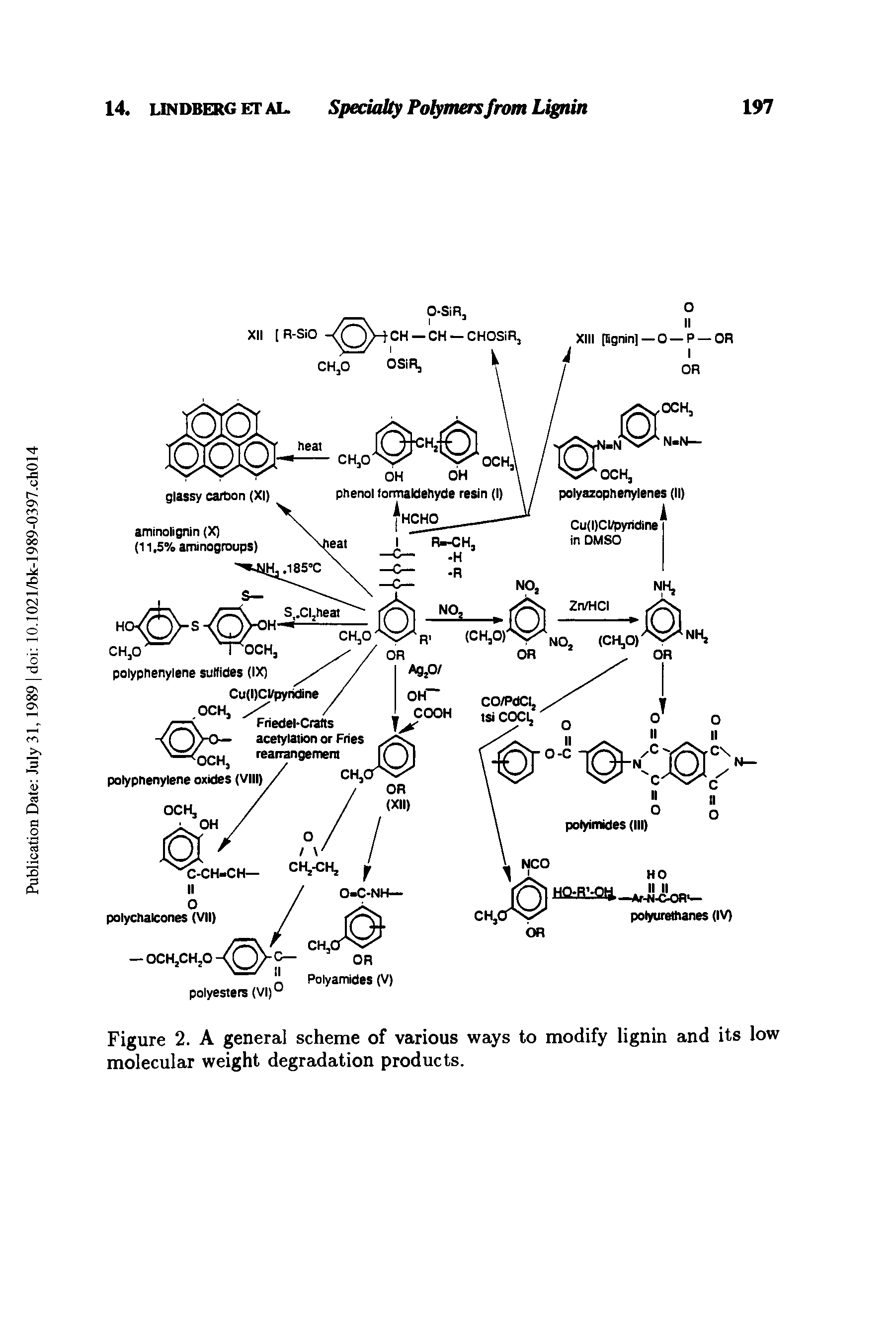 Figure 2. A general scheme of various ways to modify lignin and its low molecular weight degradation products.