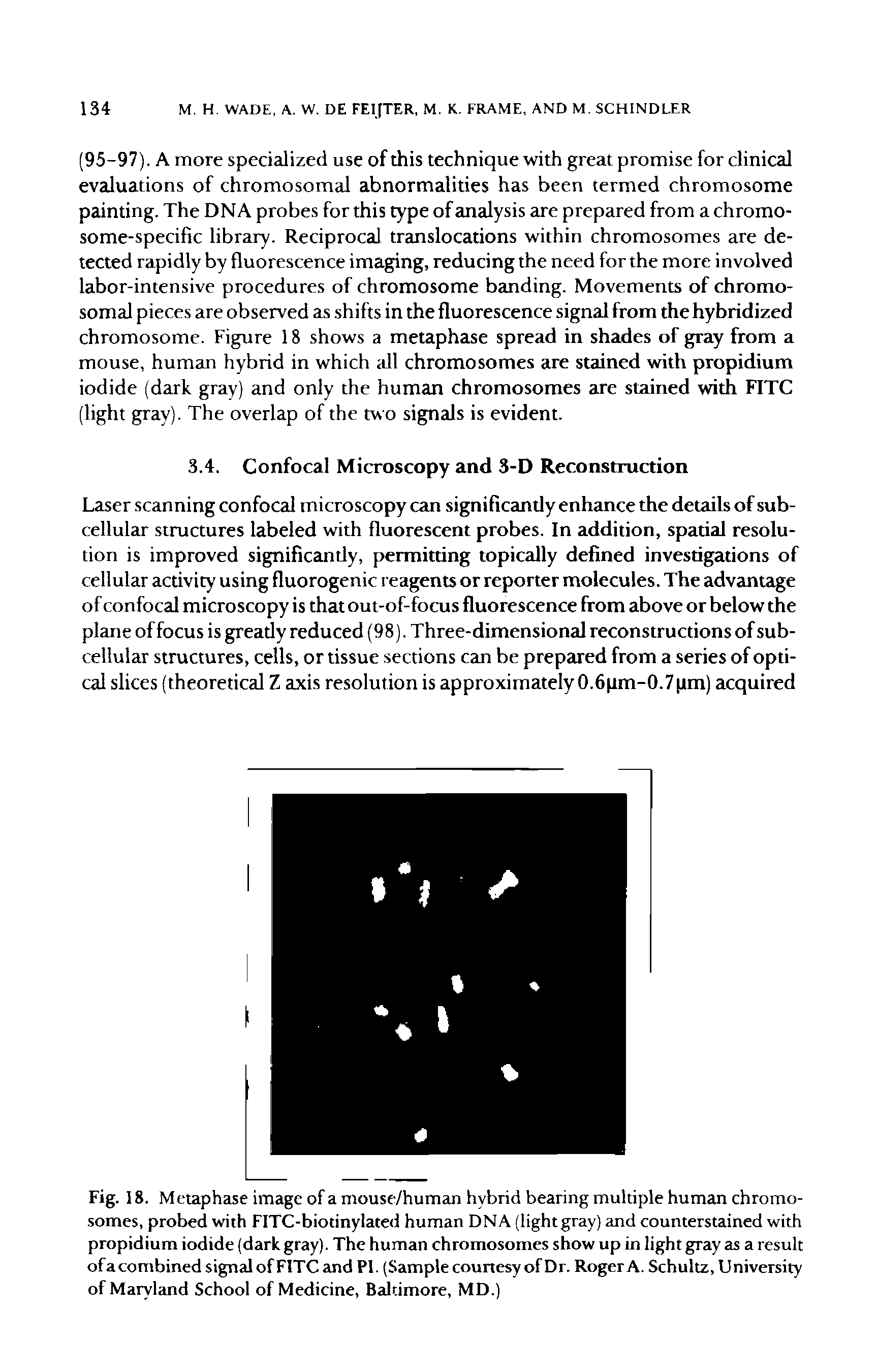 Fig. 18. Metaphase image of a mouse/human hybrid bearing multiple human chromosomes, probed with FITC-biotinylated human DNA (light gray) and counterstained with propidium iodide (dark gray). The human chromosomes show up in light gray as a result ofacombined signal of FITC and PI. (Sample courtesy of Dr. Roger A. Schultz, University of Maryland School of Medicine, Baltimore, MD.)...