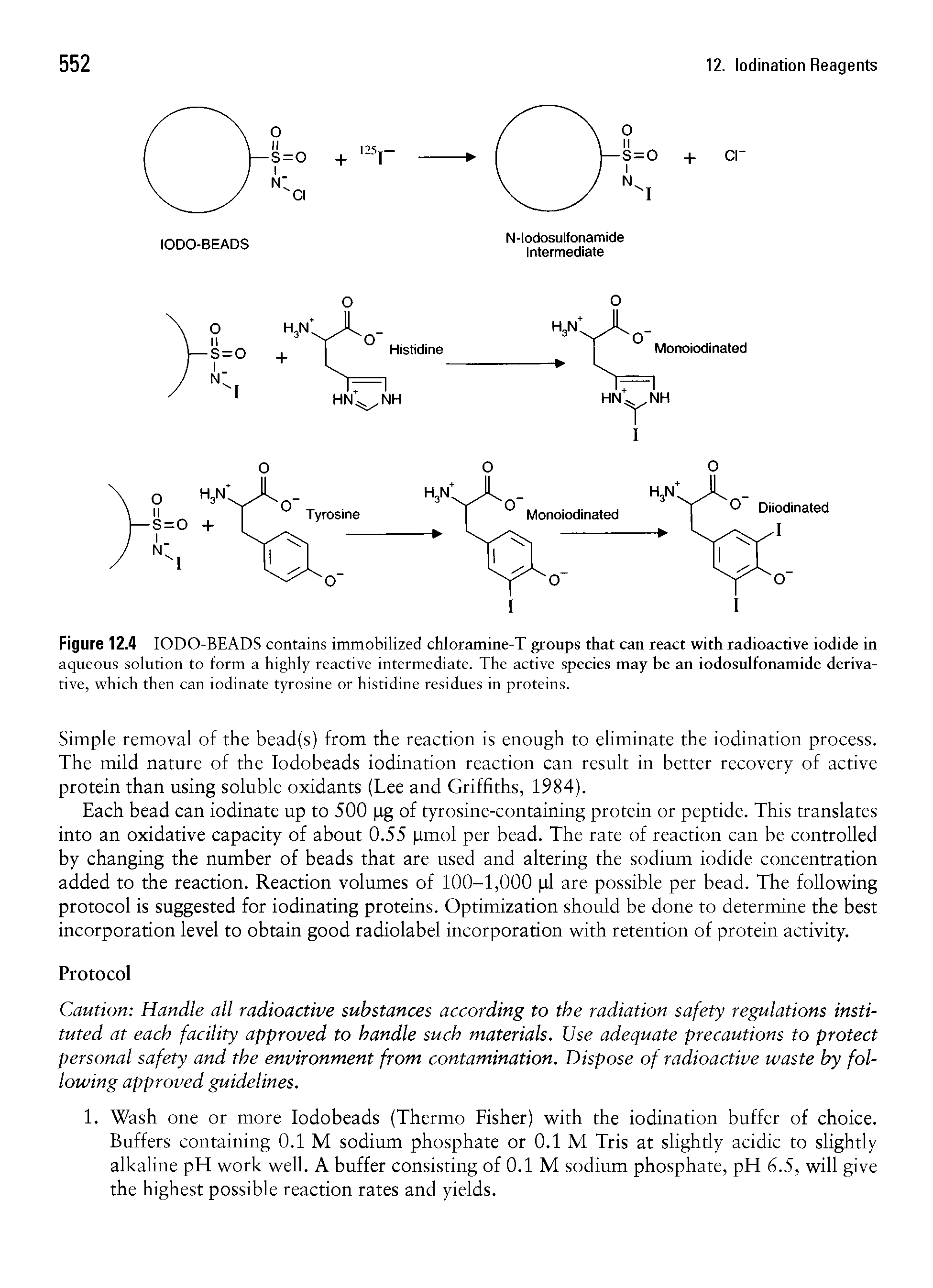 Figure 12.4 IODO-BEADS contains immobilized chloramine-T groups that can react with radioactive iodide in...