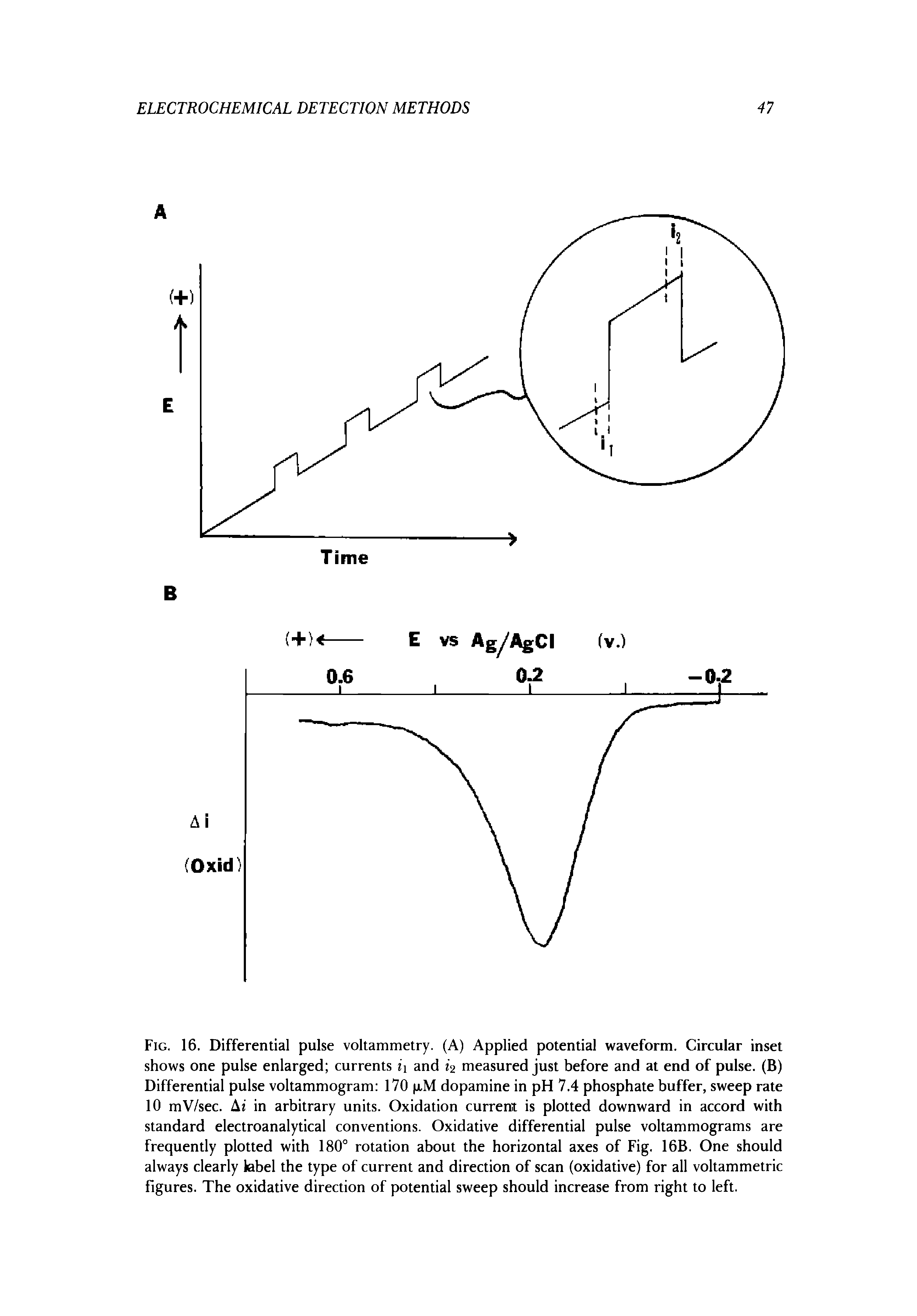 Fig. 16. Differential pulse voltammetry. (A) Applied potential waveform. Circular inset shows one pulse enlarged currents ii and i2 measured just before and at end of pulse. (B) Differential pulse voltammogram 170 jjlM dopamine in pH 7.4 phosphate buffer, sweep rate 10 mV/sec. At in arbitrary units. Oxidation current is plotted downward in accord with standard electroanalytical conventions. Oxidative differential pulse voltammograms are frequently plotted with 180° rotation about the horizontal axes of Fig. 16B. One should always clearly label the type of current and direction of scan (oxidative) for all voltammetric figures. The oxidative direction of potential sweep should increase from right to left.
