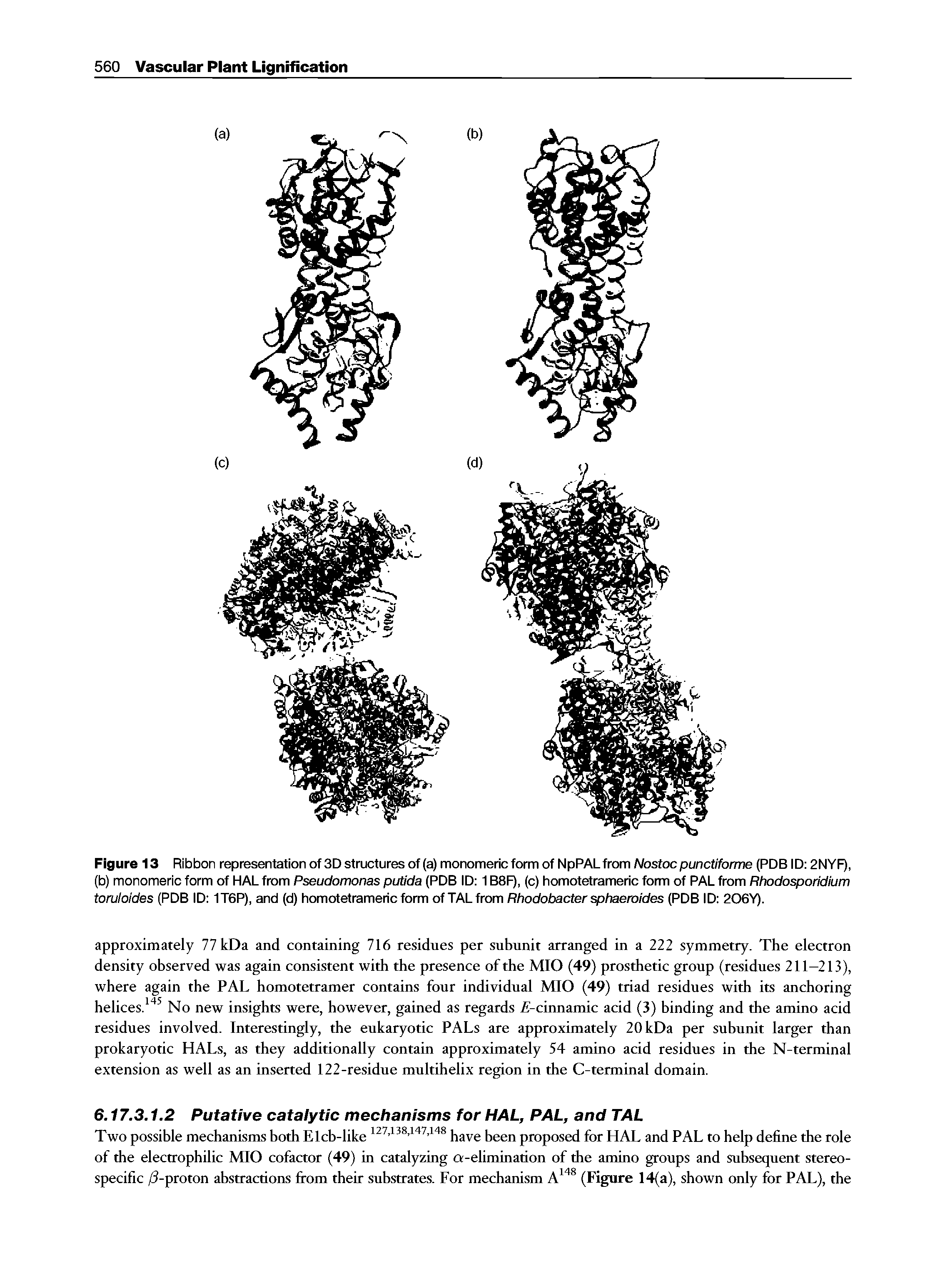 Figure 13 Ribbon representation of 3D structures of (a) monomericform of NpPAL from Nostocpuncf/fomie (PDB ID 2NYF), (b) monomeric form of HAL from Pseudomonas putida (PDB ID 1B8F), (c) homotetrameric form of PAL from Rhodosporidium toruloides (PDB ID 1T6P), and (d) homotetrameric form of TALfrom Rhodobacter sphaeroides (PDB ID 206Y).