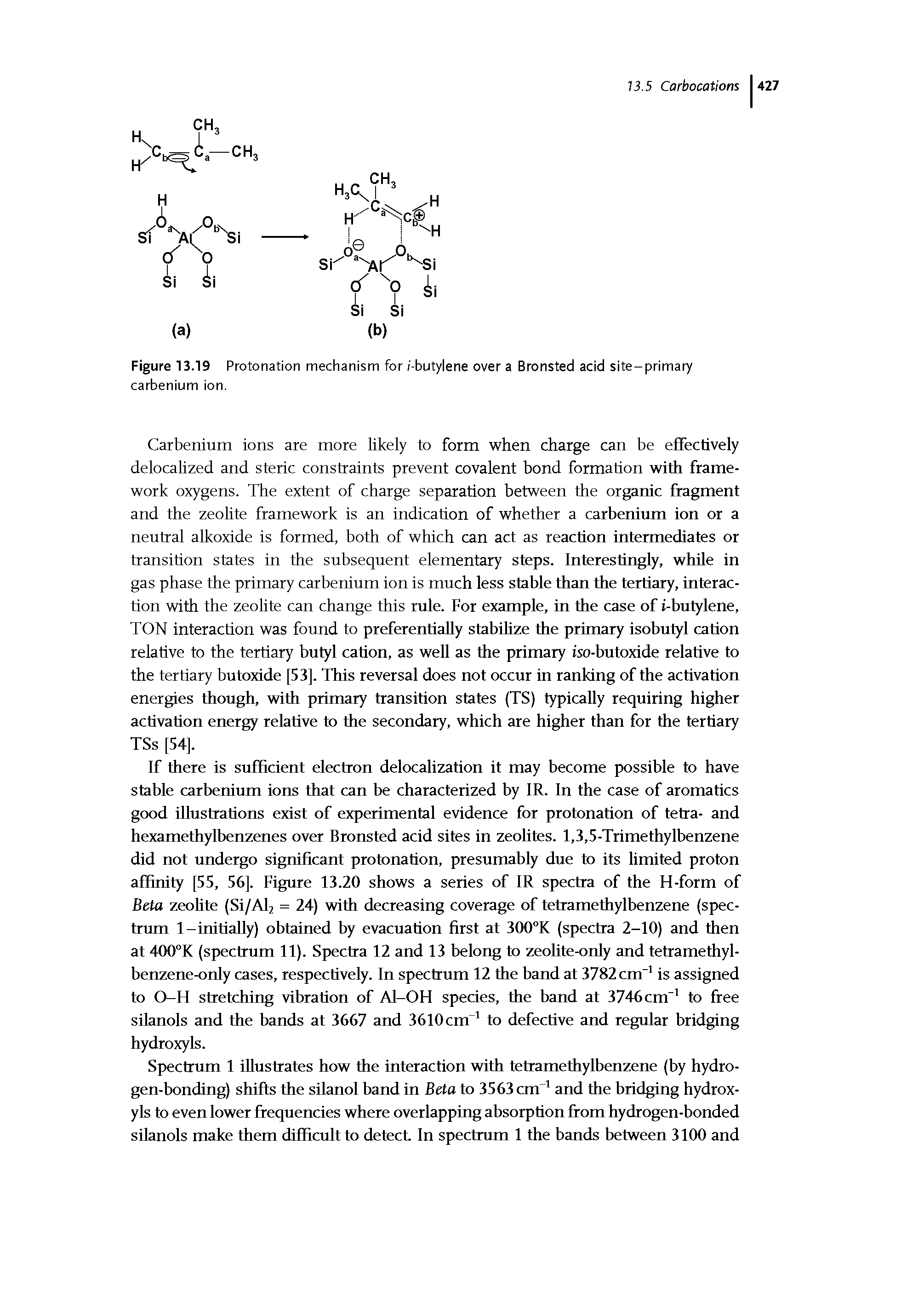 Figure 13.19 Protonation mechanism for /-butylene over a Bronsted acid site-primary carbenium ion.