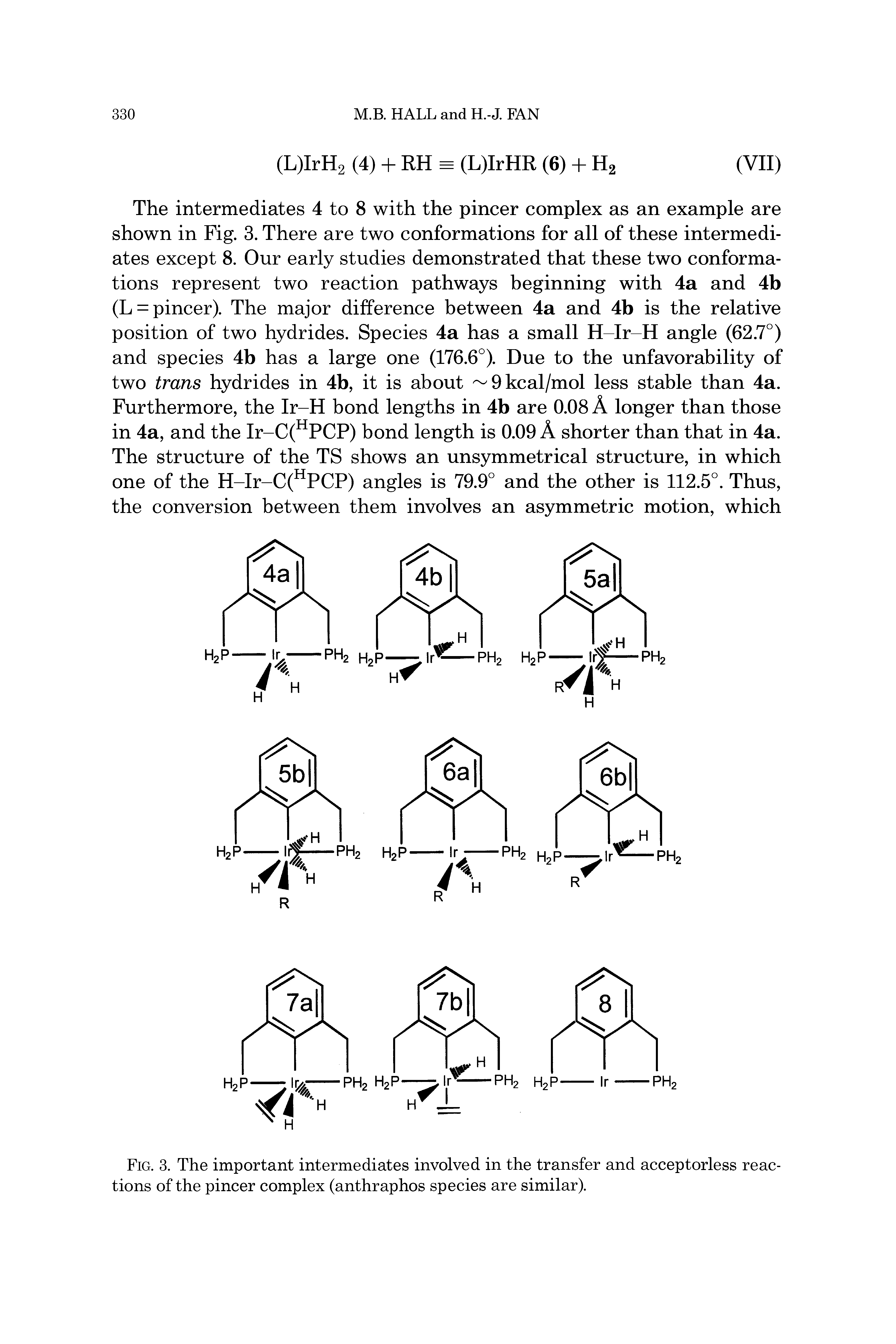 Fig. 3. The important intermediates involved in the transfer and acceptorless reactions of the pincer complex (anthraphos species are similar).