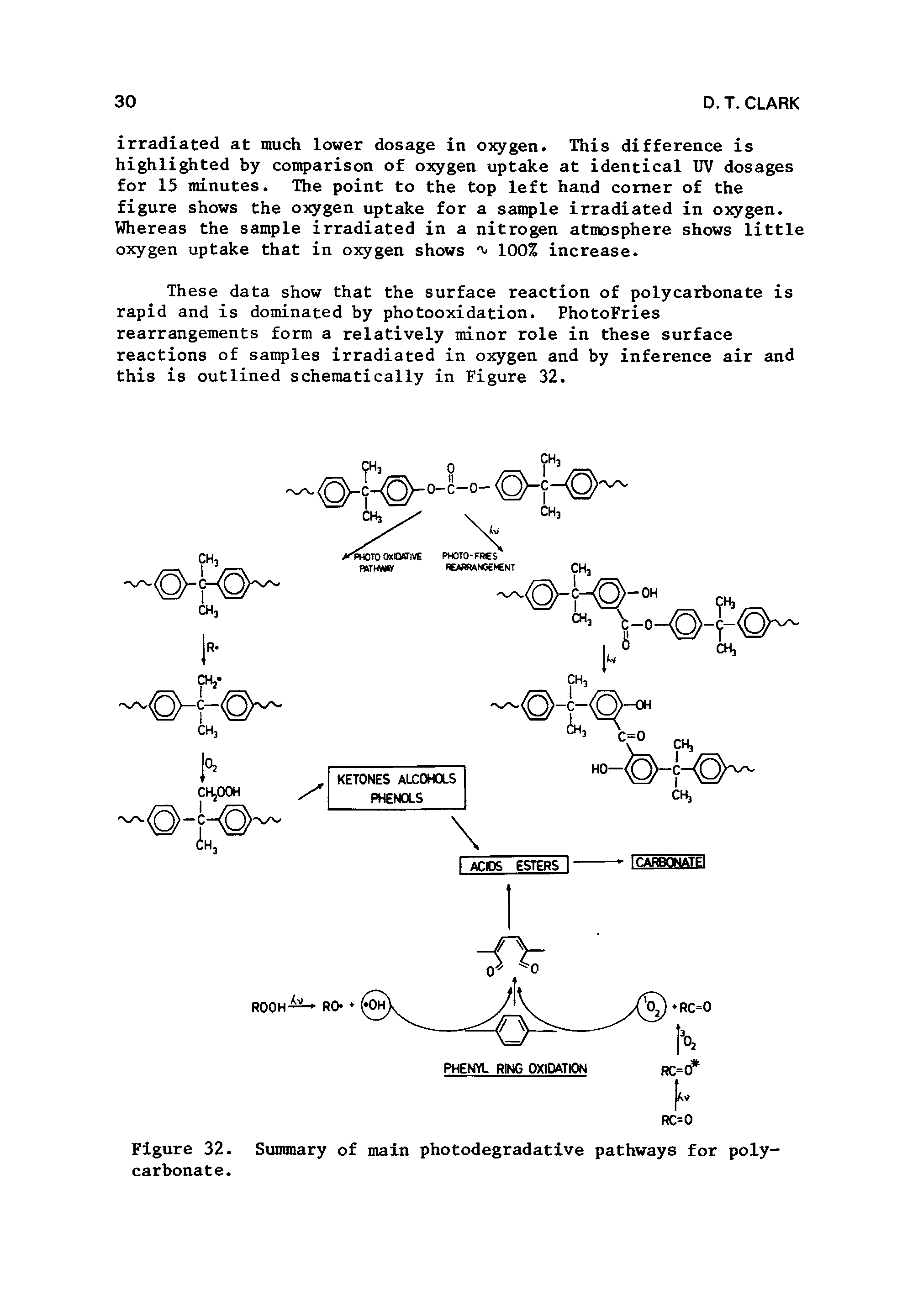 Figure 32. Summary of main photodegradative pathways for polycarbonate.