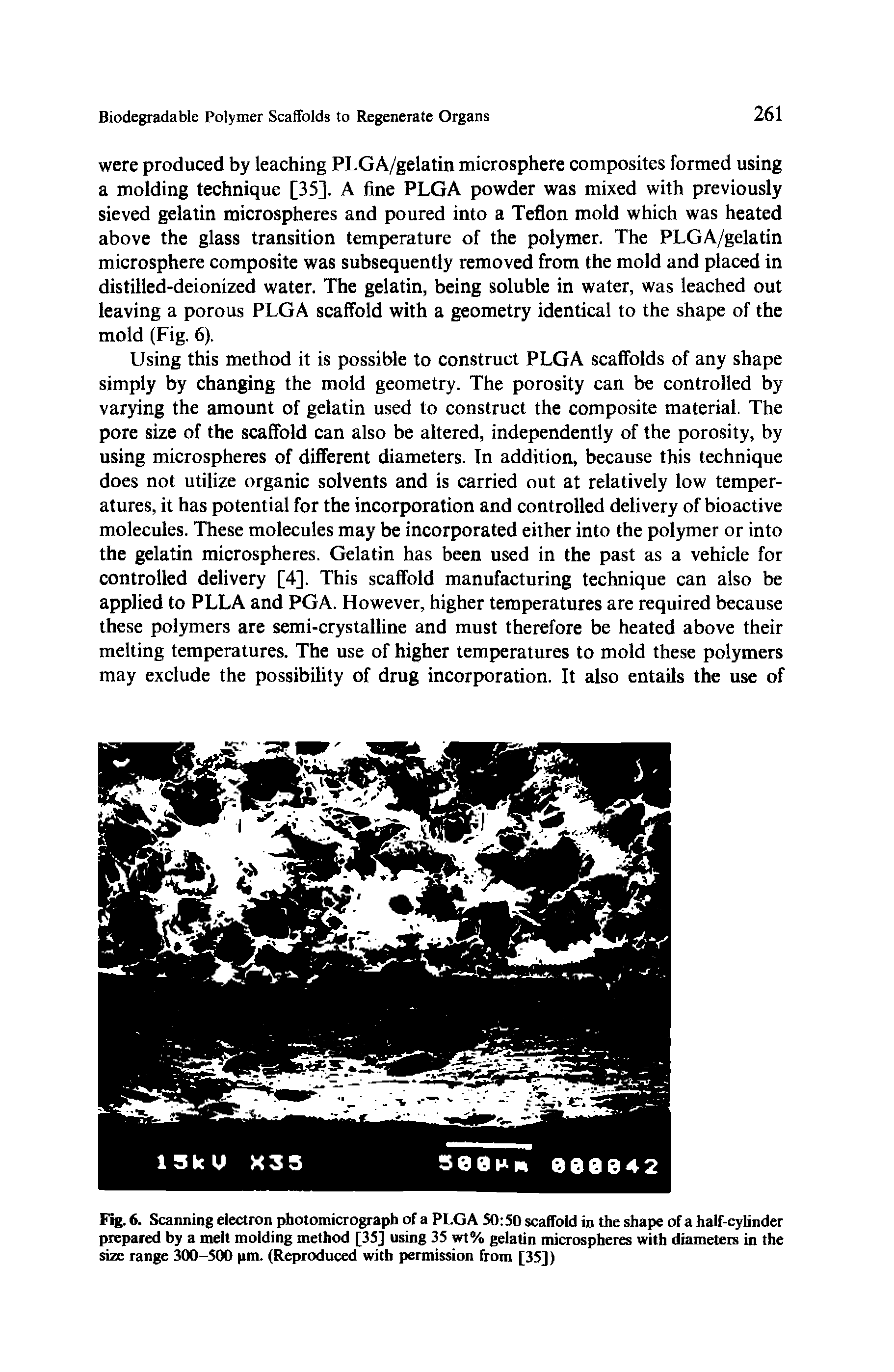 Fig. 6. Scanning electron photomicrograph of a PLGA 50 50 scaffold in the shape of a half-cylinder prepared by a melt molding method [35] using 35 wt% gelatin microspheres with diameters in the size range 300-500 pm. (Reproduced with permission from [35])...