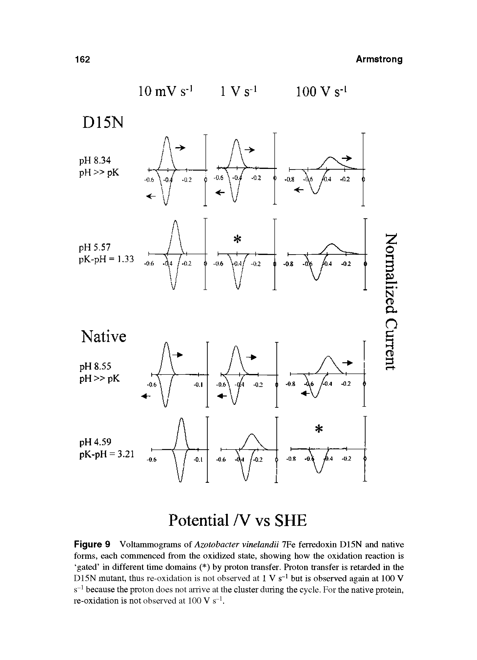 Figure 9 Voltammograms of Azotobacter vinelandii 7Fe ferredoxin D15N and native forms, each commenced from the oxidized state, showing how the oxidation reaction is gated in different time domains ( ) by proton transfer. Proton transfer is retarded in the D15N mutant, thus re-oxidation is not observed at 1 V s but is observed again at 100 V s because the proton does not arrive at the cluster during the cycle. For the native protein, re-oxidation is not observed at 100 V s. ...