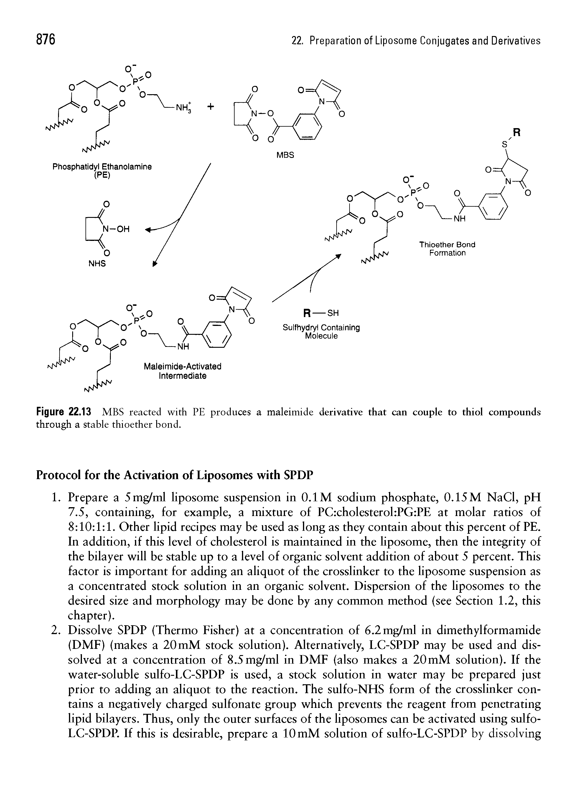 Figure 22.13 MBS reacted with PE produces a maleimide derivative that can couple to thiol compounds through a stable thioether bond.