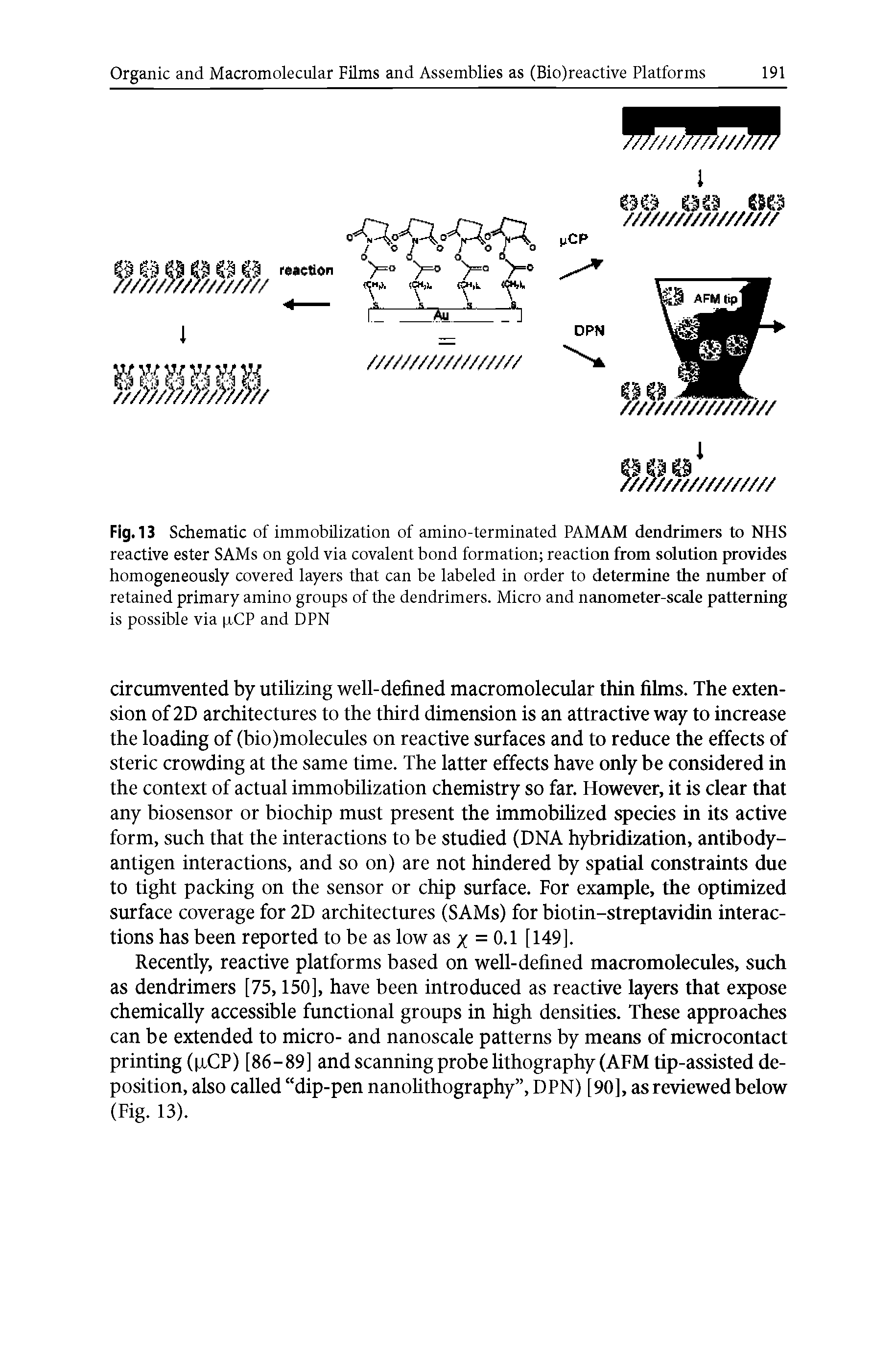 Fig. 13 Schematic of immobilization of amino-terminated PAMAM dendrimers to NHS reactive ester SAMs on gold via covalent bond formation reaction from solution provides homogeneously covered layers that can be labeled in order to determine the number of retained primary amino groups of the dendrimers. Micro and nanometer-scale patterning is possible via xCP and DPN...