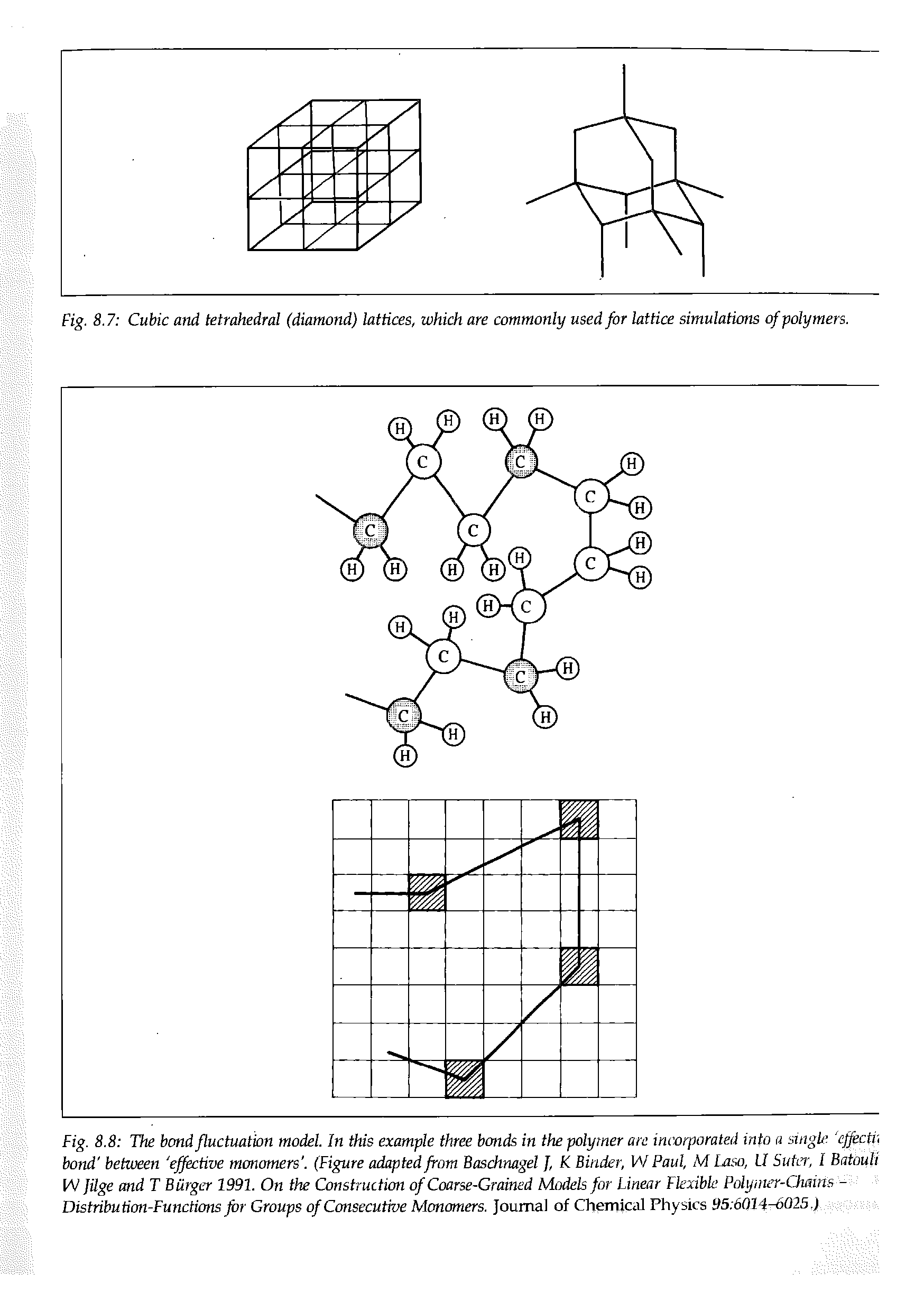 Fig. 8.8 The bond fluctuation model. In this example three bcmds in the polymer arc incorporated into a singk effecti bond between effective moncmers . (Figure adapted from Baschnagel J, K Binder, W Paul, M Laso, U Sutcr, I Batouli [N ]ilge and T Burger 1991. On the Construction of Coarse-Grained Models for Linear Flexible Polymer-Chains -Distribution-Functions for Groups of Consecutive Monomers. Journal of Chemical Physics 93 6014-6025.)...