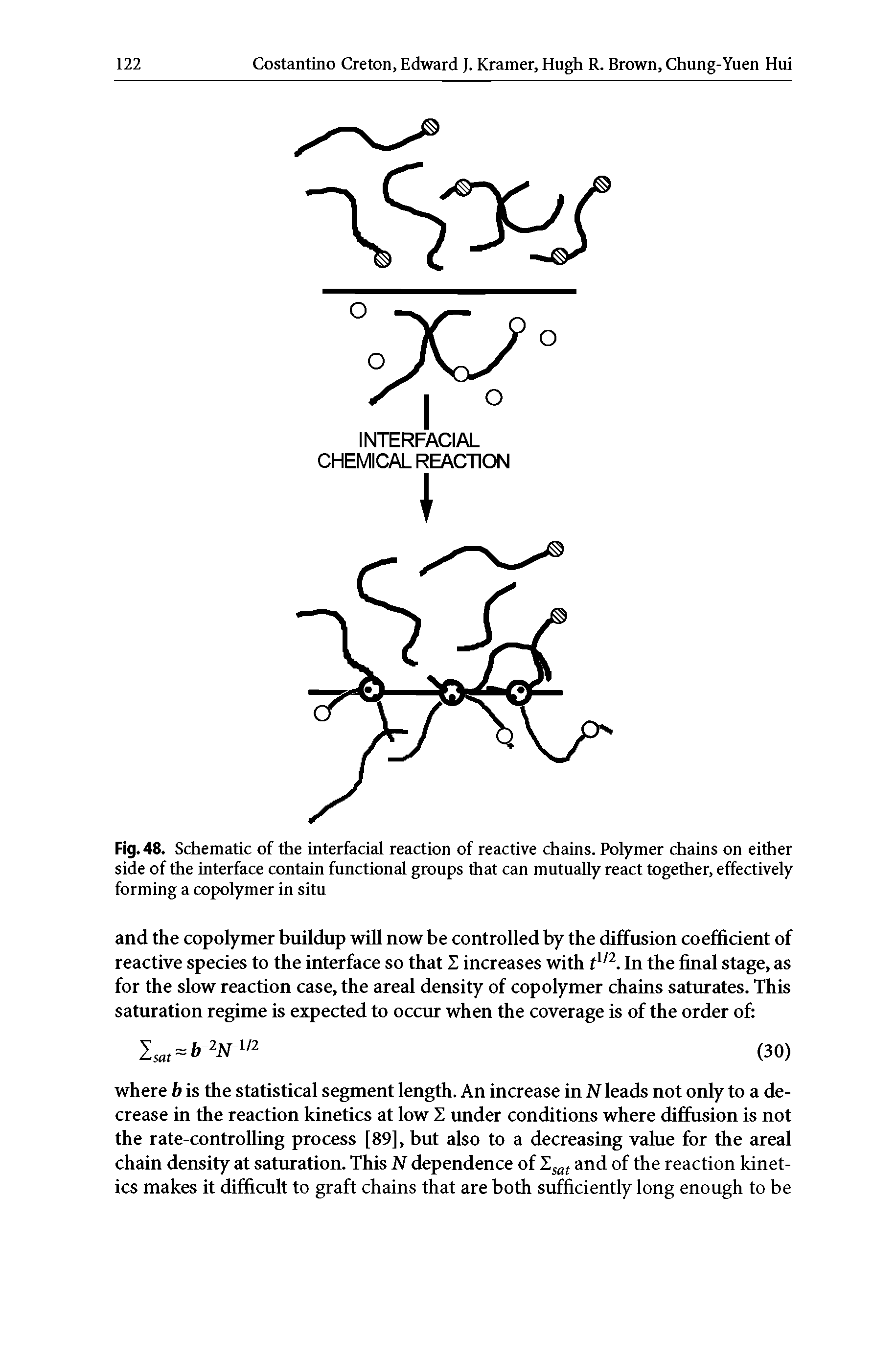 Fig. 48. Schematic of the interfacial reaction of reactive chains. Polymer chains on either side of the interface contain functional groups that can mutually react together, effectively forming a copolymer in situ...