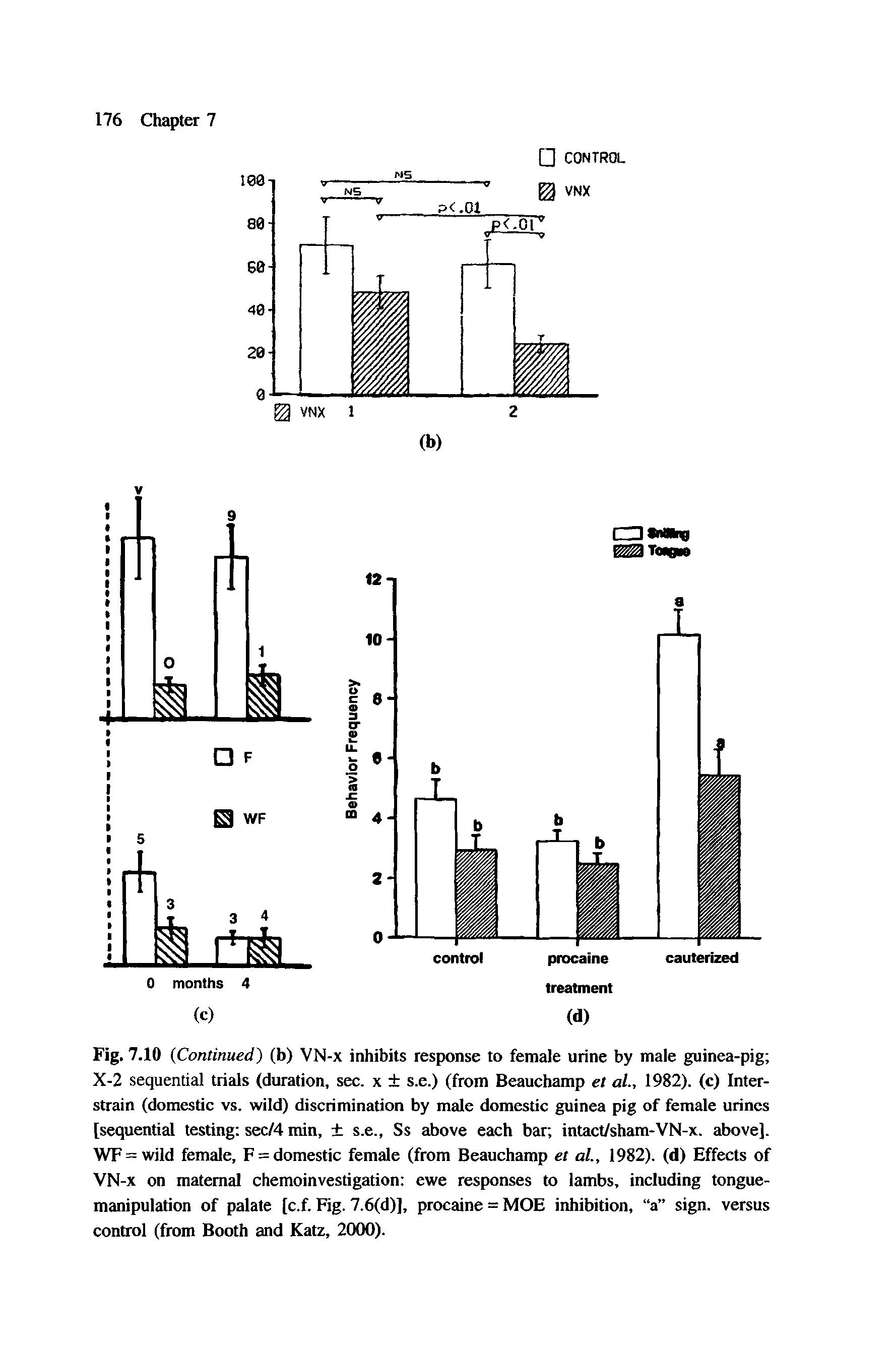 Fig. 7.10 (Continued) (b) VN-x inhibits response to female urine by male guinea-pig X-2 sequential trials (duration, sec. x s.e.) (from Beauchamp et al., 1982). (c) Inter-strain (domestic vs. wild) discrimination by male domestic guinea pig of female urines [sequential testing sec/4 min, s.e., Ss above each bar intact/sham-VN-x. above]. WF= wild female, F = domestic female (from Beauchamp et al., 1982). (d) Effects of VN-x on maternal chemoinvestigation ewe responses to lambs, including tongue-manipulation of palate [c.f. Fig. 7.6(d)], procaine = MOE inhibition, a sign, versus control (from Booth and Katz, 2000).