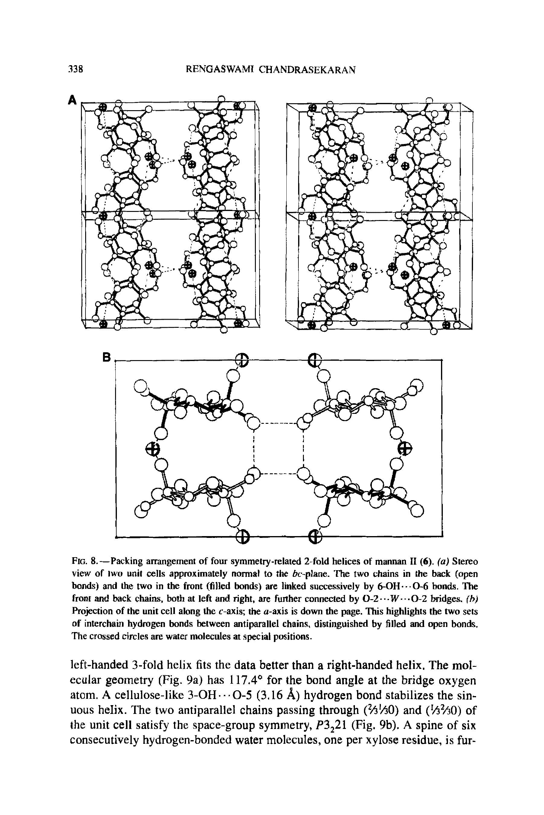 Fig. 8.—Packing arrangement of four symmetry-related 2-fold helices of mannan II (6). (a) Stereo view of two unit cells approximately normal to flic frc-plane. The two chains in the back (open bonds) and the two in the front (filled bonds) are linked successively by 6-0H-- 0-6 bonds. The front and back chains, both at left and right, are further connected by 0-2 -1V -0-2 bridges, (h) Projection of the unit cell along the c-axis the a-axis is down the page. This highlights the two sets of interchain hydrogen bonds between antiparallel chains, distinguished by filled and open bonds. The crossed circles are water molecules at special positions.