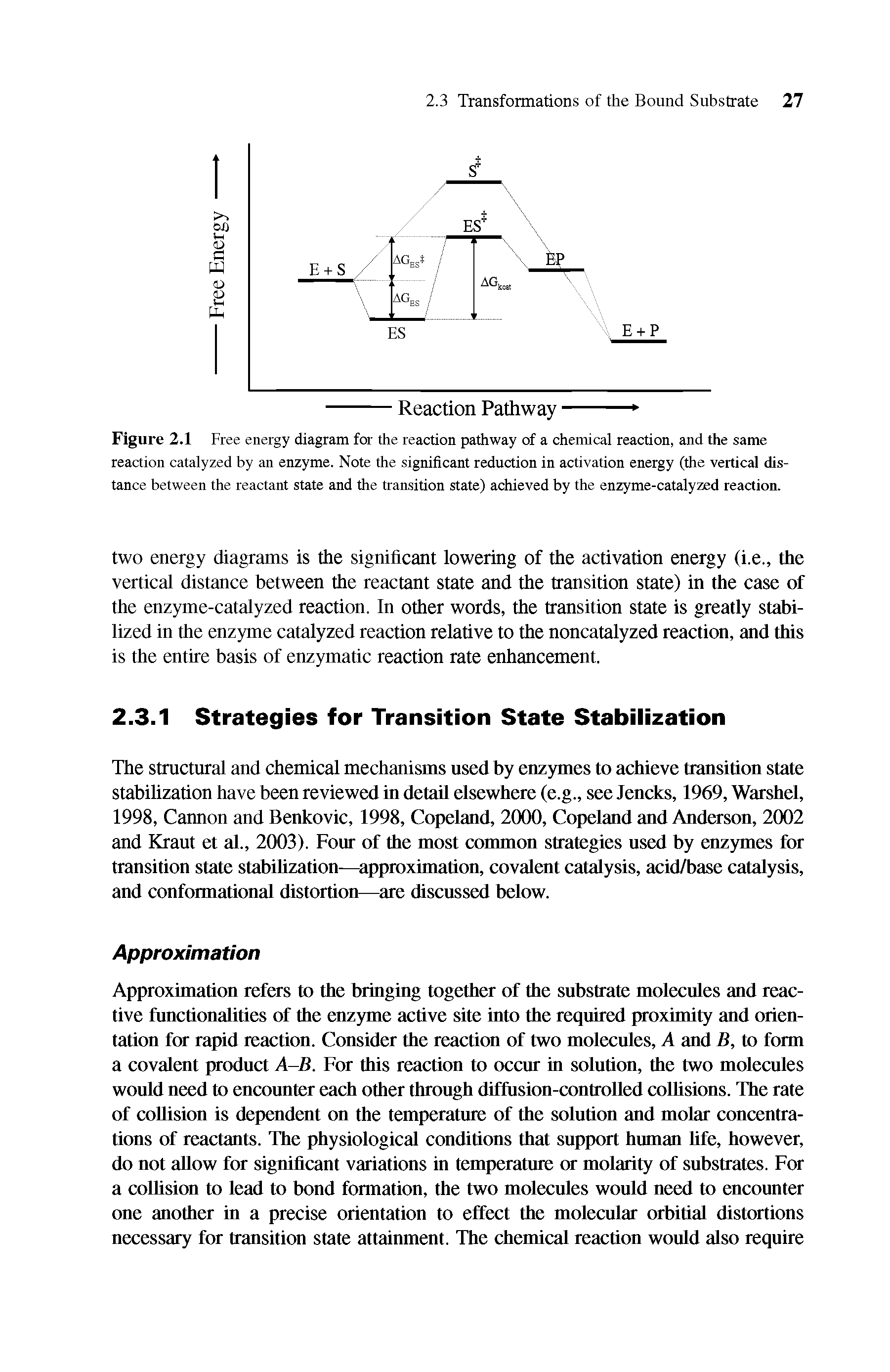 Figure 2.1 Free energy diagram for the reaction pathway of a chemical reaction, and the same reaction catalyzed by an enzyme. Note the significant reduction in activation energy (the vertical distance between the reactant state and the transition state) achieved by the enzyme-catalyzed reaction.