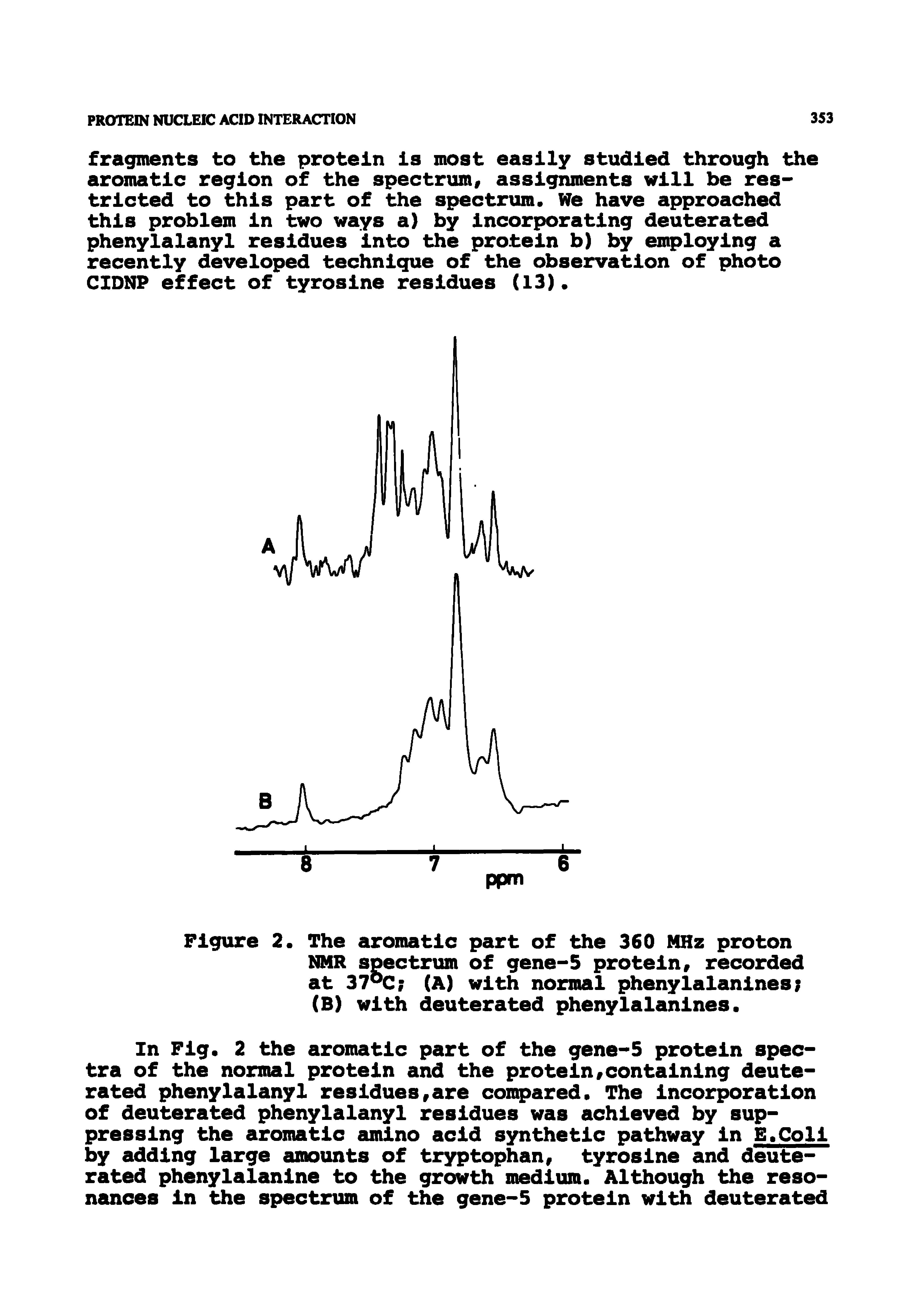 Figure 2. The aromatic part of the 360 MHz proton NHR spectrum of gene-5 protein, recorded at 37 (A) with normal phenylalanines (B) with deuterated phenylalanines.