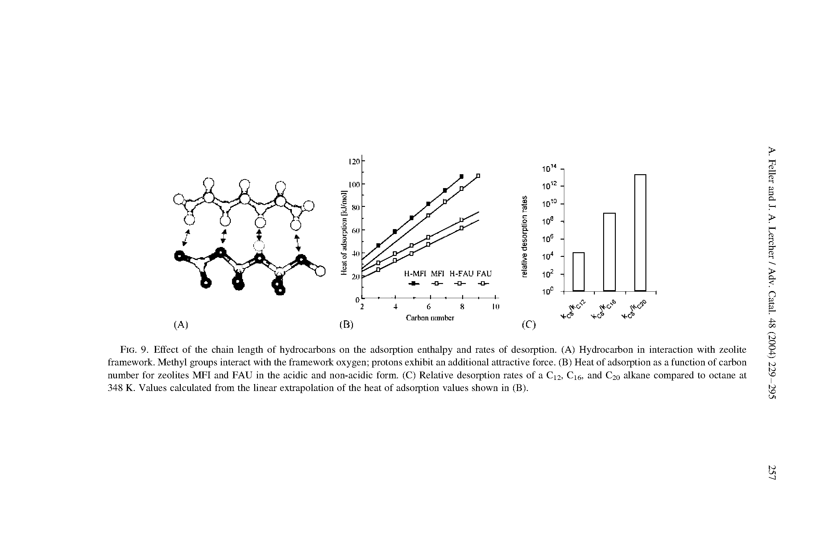 Fig. 9. Effect of the chain length of hydrocarbons on the adsorption enthalpy and rates of desorption. (A) Hydrocarbon in interaction with zeolite framework. Methyl groups interact with the framework oxygen protons exhibit an additional attractive force. (B) Heat of adsorption as a function of carbon number for zeolites MFI and FAU in the acidic and non-acidic form. (C) Relative desorption rates of a C12, Ci6, and C20 alkane compared to octane at 348 K. Values calculated from the linear extrapolation of the heat of adsorption values shown in (B).