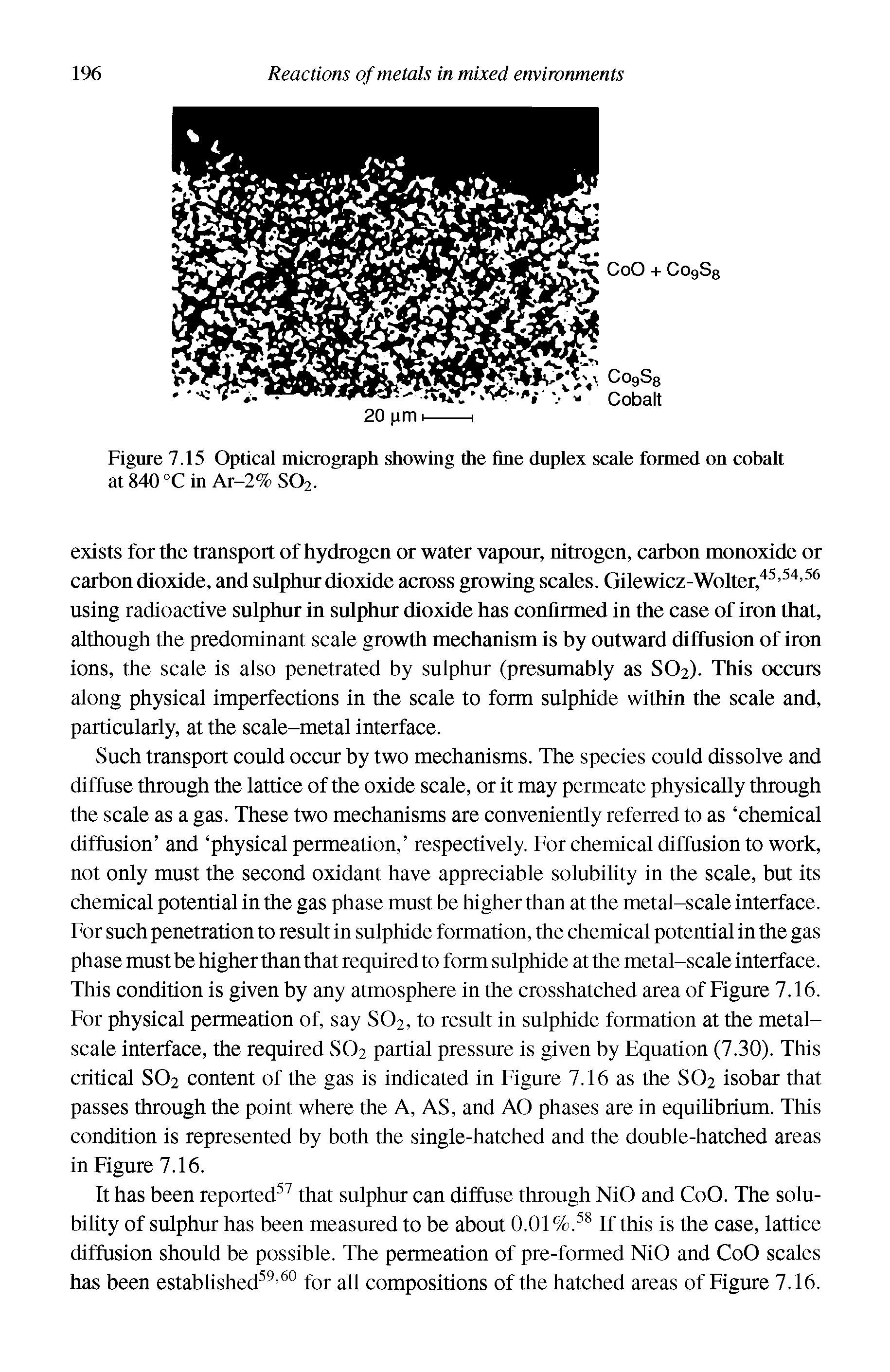 Figure 7.15 Optical micrograph showing the fine duplex scale formed on cobalt at 840 °C in Ar-2% SO2.