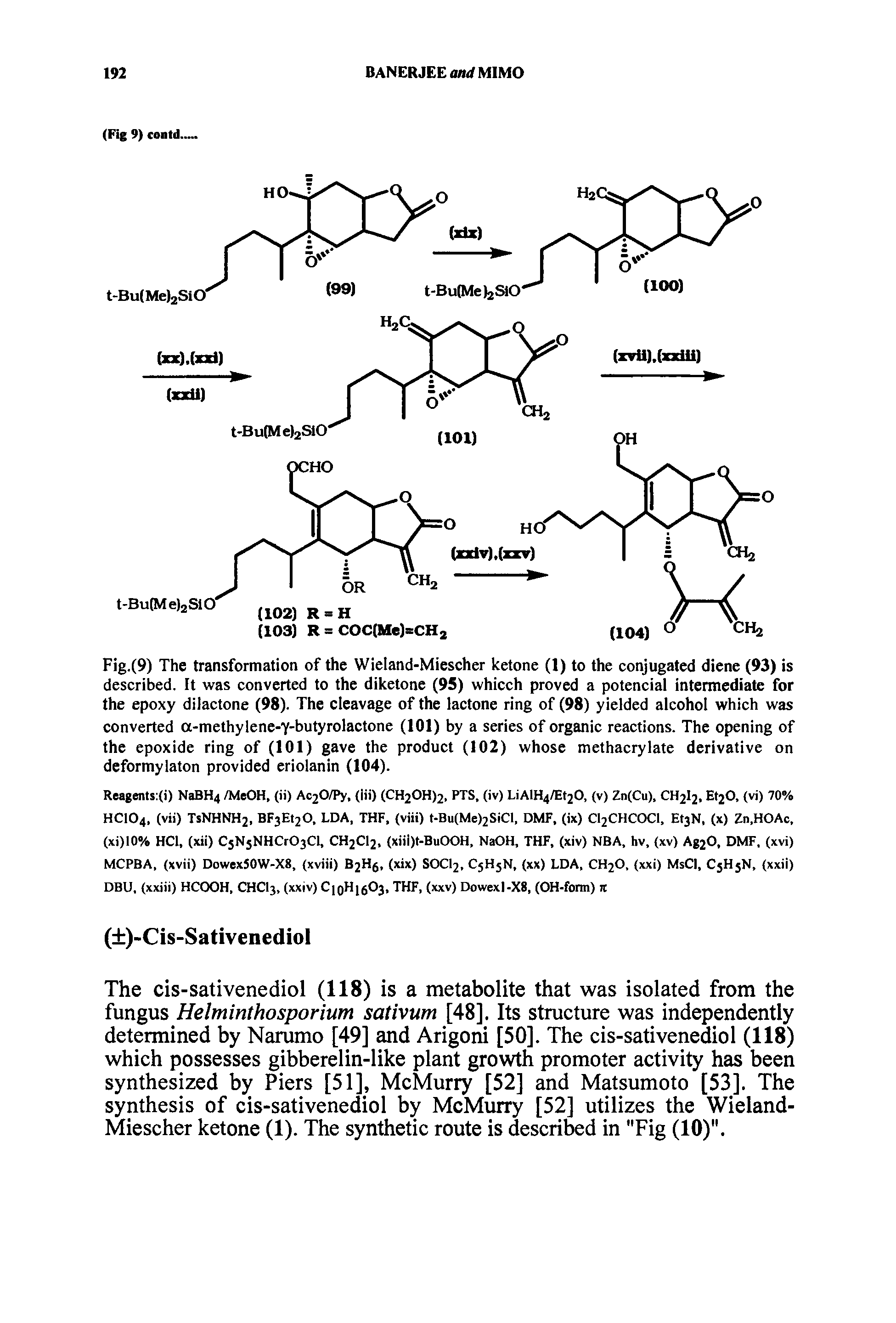 Fig.(9) The transformation of the Wieland-Miescher ketone (1) to the conjugated diene (93) is described. It was converted to the diketone (95) whicch proved a potencial intermediate for the epoxy dilactone (98). The cleavage of the lactone ring of (98) yielded alcohol which was converted a-methylene-Y-butyrolactone (101) by a series of organic reactions. The opening of the epoxide ring of (101) gave the product (102) whose methacrylate derivative on deformylaton provided eriolanin (104).