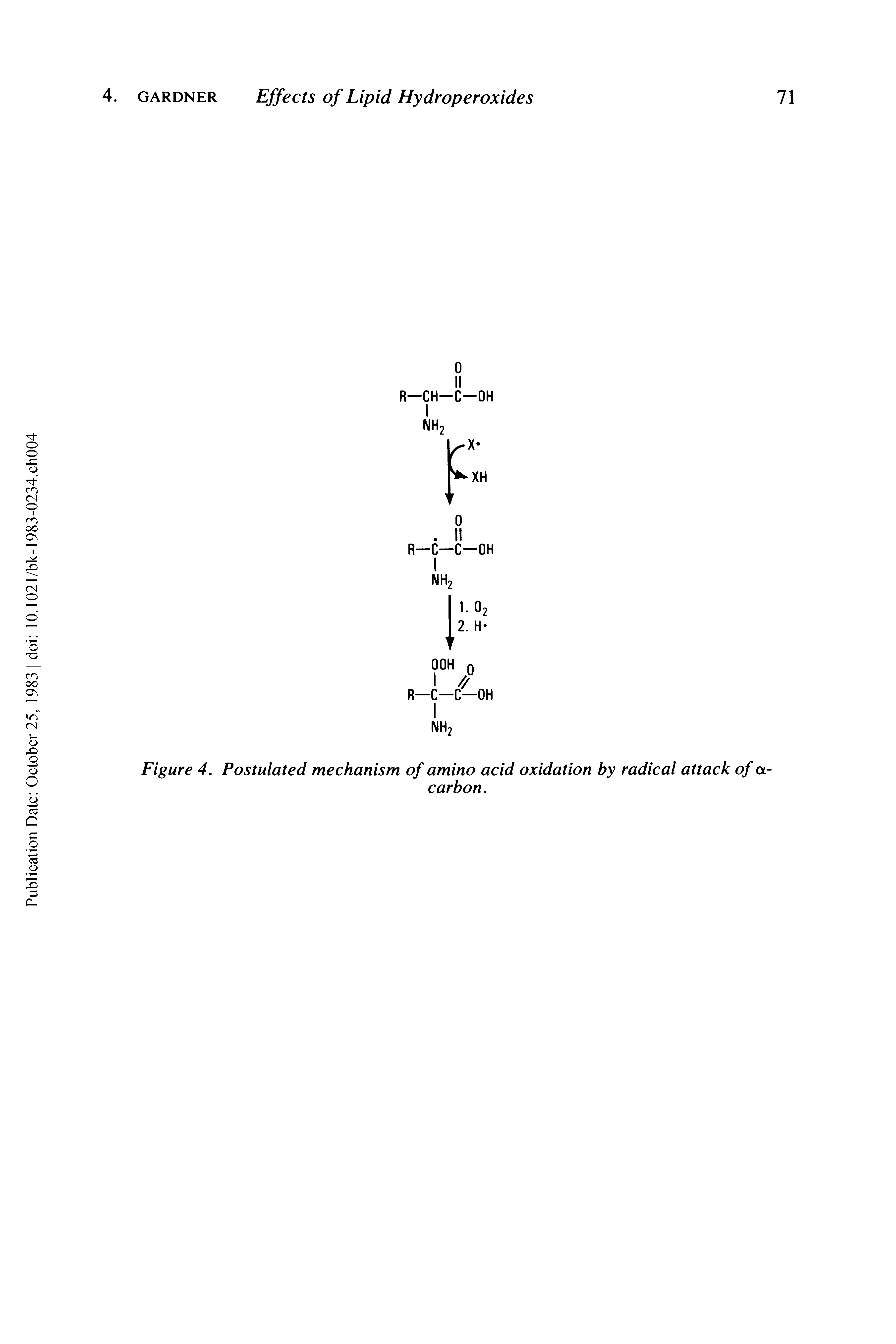 Figure 4. Postulated mechanism of amino acid oxidation by radical attack of a-...