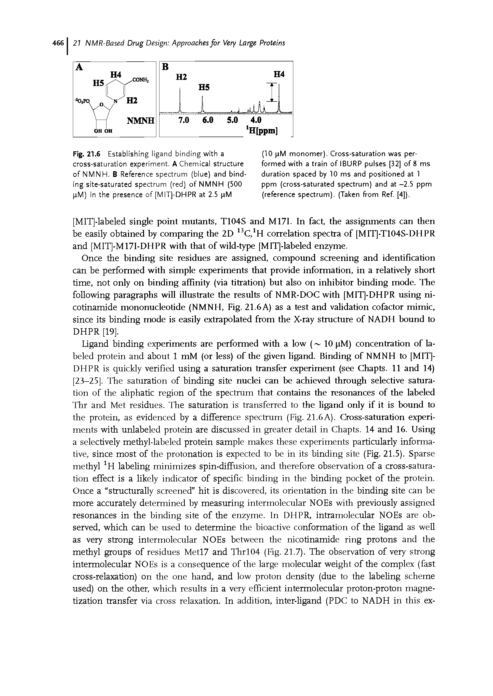Fig. 21.6 Establishing ligand binding with a cross-saturation experiment. A Chemical structure of NMNH. B Reference spectrum (blue) and binding site-saturated spectrum (red) of NMNH (500 pM) in the presence of [MITJ-DHPR at 2.5 pM...