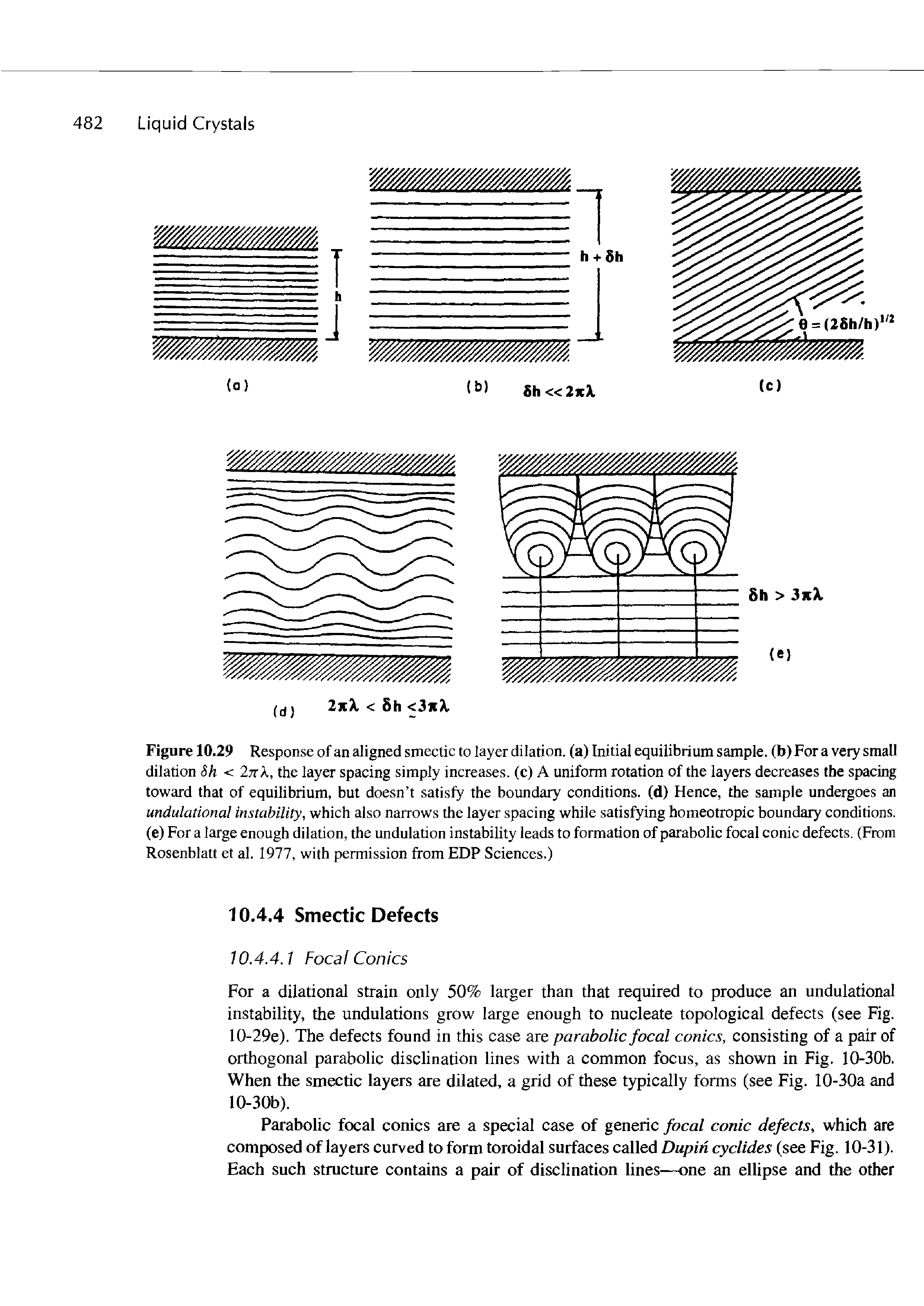 Figure 10.29 Response of an aligned smectic to layer dilation, (a) Initial equilibrium sample, (b) For a very small dilation Sh < Ink, the layer spacing simply increases, (c) A uniform rotation of the layers decreases the spacing toward that of equilibrium, but doesn t satisfy the boundary conditions, (d) Hence, the sample undergoes an mdulational instability, which also narrows the layer spacing while satisfying homeotropic boundary conditions, (e) For a large enough dilation, the undulation instability leads to formation of parabolic focal conic defects. (From Rosenblatt et al. 1977, with permission from EDP Sciences.)...