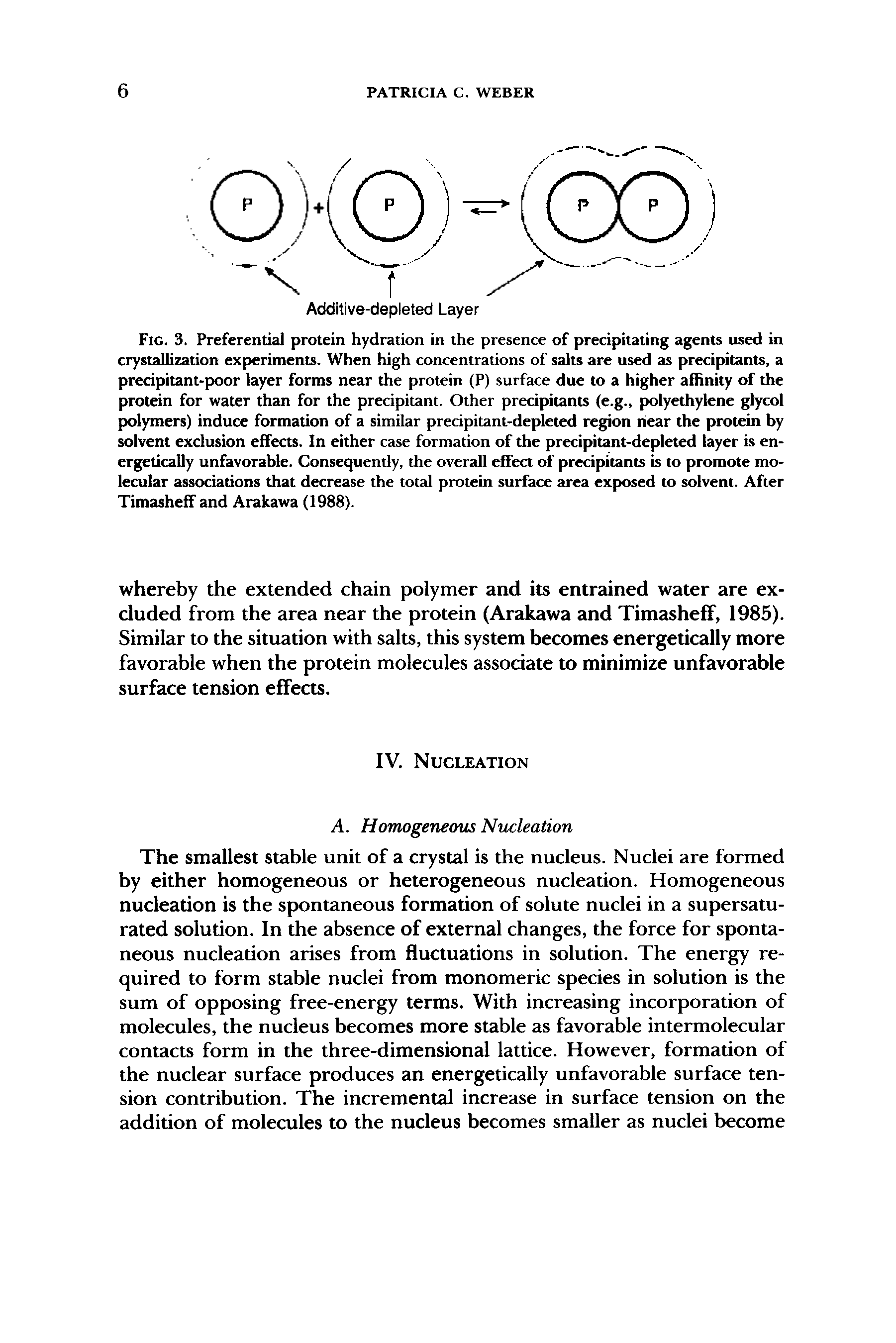 Fig. 3. Preferential protein hydration in the presence of precipitating agents used in crystallization experiments. When high concentrations of salts are used as precipitants, a precipitant-poor layer forms near the protein (P) surface due to a higher affinity of the protein for water than for the precipitant. Other precipitants (e.g., polyethylene glycol polymers) induce formation of a similar precipitant-depleted region near the protein by solvent exclusion effects. In either case formation of the precipitant-depleted layer is energetically unfavorable. Consequently, the overall effect of precipitants is to promote molecular associations that decrease the total protein surface area exposed to solvent. After Timasheff and Arakawa (1988).