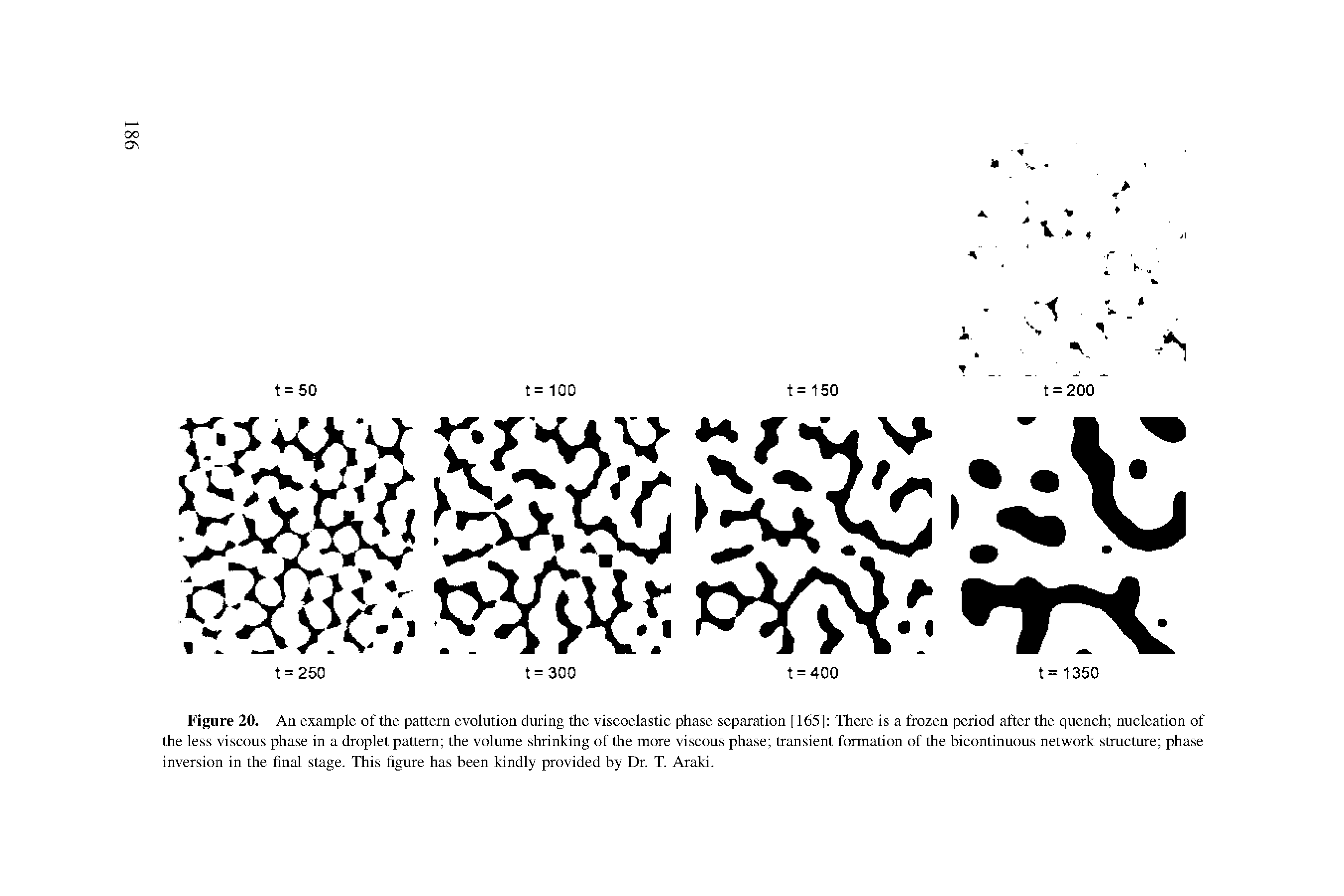 Figure 20. An example of the pattern evolution during the viscoelastic phase separation [165] There is a frozen period after the quench nucleation of the less viscous phase in a droplet pattern the volume shrinking of the more viscous phase transient formation of the bicontinuous network structure phase inversion in the final stage. This figure has been kindly provided by Dr. T. Araki.