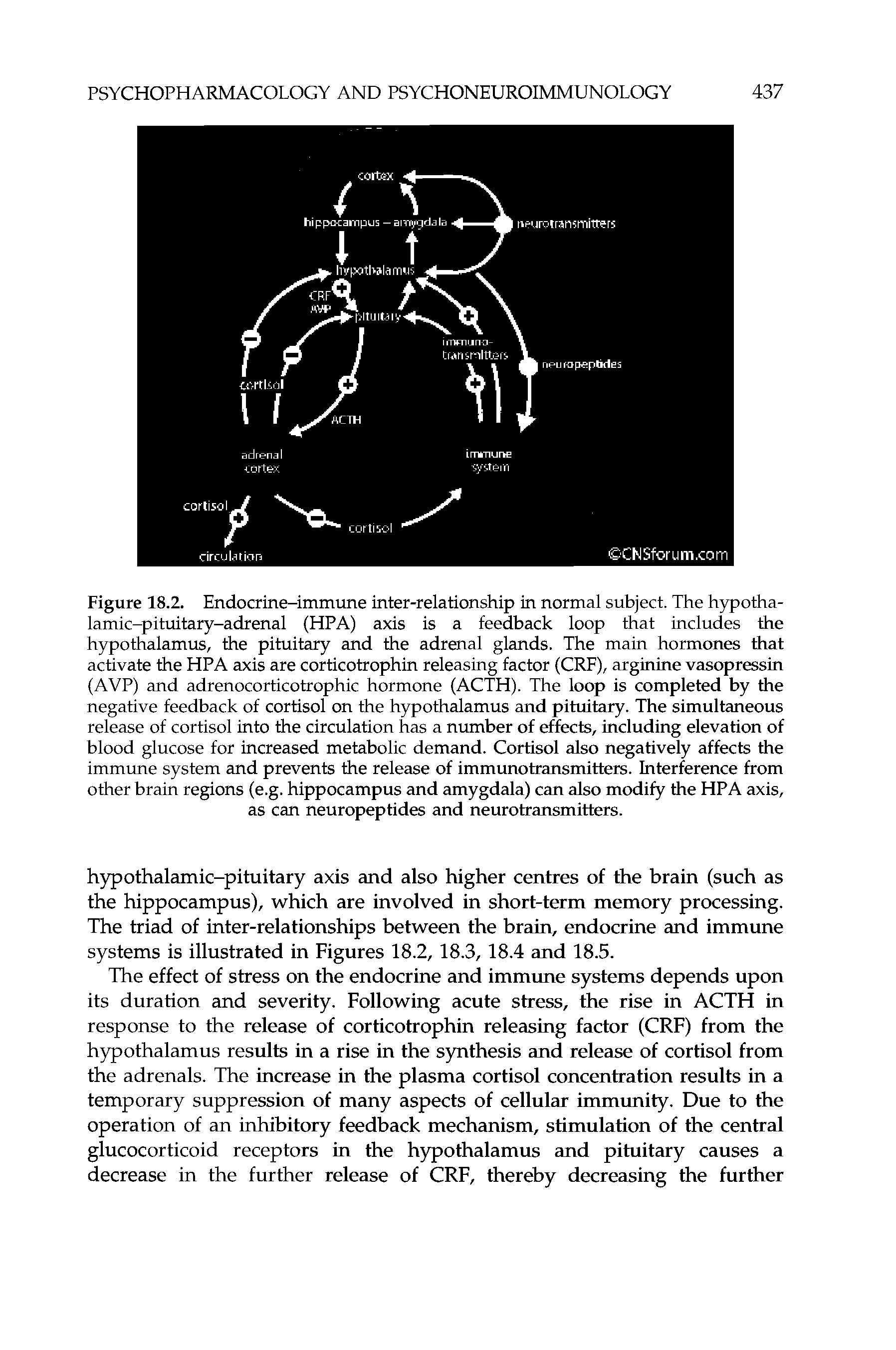 Figure 18.2. Endocrine-immune inter-relationship in normal subject. The hypothalamic-pituitary-adrenal (HPA) axis is a feedback loop that includes the hypothalamus, the pituitary and the adrenal glands. The main hormones that activate the HPA axis are corticotrophin releasing factor (CRF), arginine vasopressin (AVP) and adrenocorticotrophic hormone (ACTH). The loop is completed by the negative feedback of cortisol on the hypothalamus and pituitary. The simultaneous release of cortisol into the circulation has a number of effects, including elevation of blood glucose for increased metabolic demand. Cortisol also negatively affects the immune system and prevents the release of immunotransmitters. Interference from other brain regions (e.g. hippocampus and amygdala) can also modify the HPA axis, as can neuropeptides and neurotransmitters.