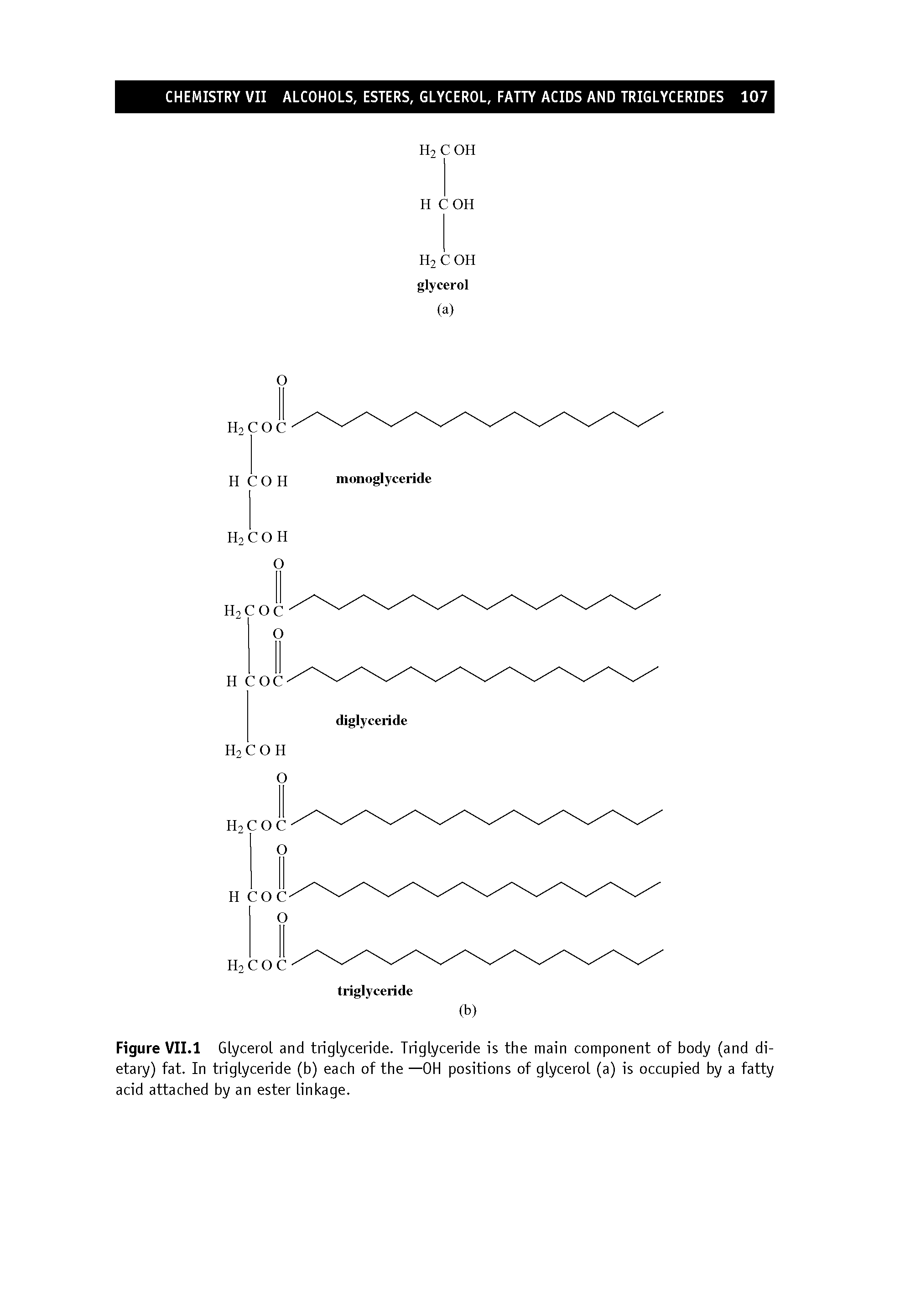 Figure VII.1 Glycerol and triglyceride. Triglyceride is the main component of body (and dietary) fat. In triglyceride (b) each of the —OH positions of glycerol (a) is occupied by a fatty acid attached by an ester linkage.