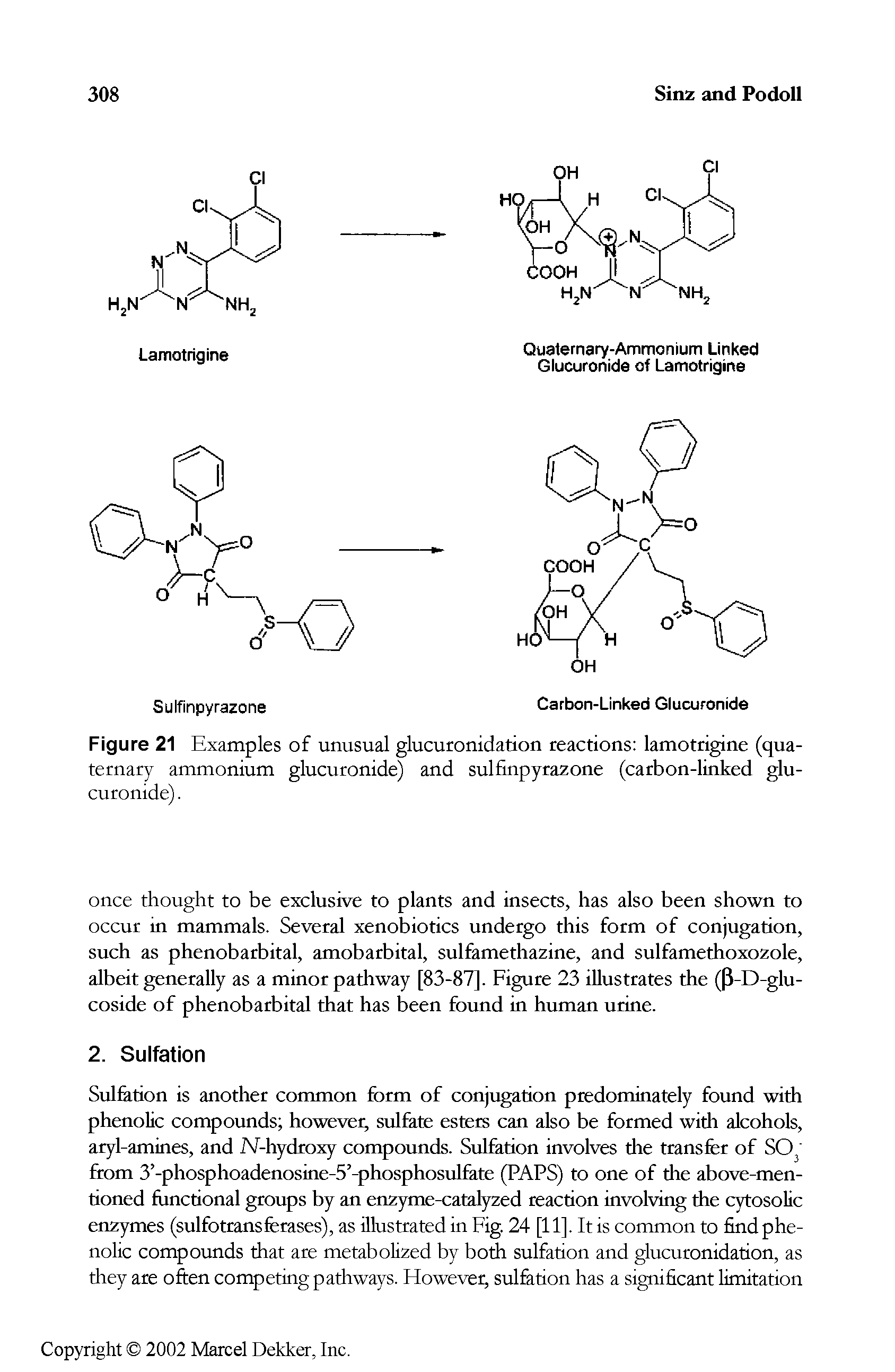 Figure 21 Examples of unusual glucuronidation reactions lamotrigine (quaternary ammonium glucuronide) and sulfinpyrazone (carbon-linked glucuronide). ...