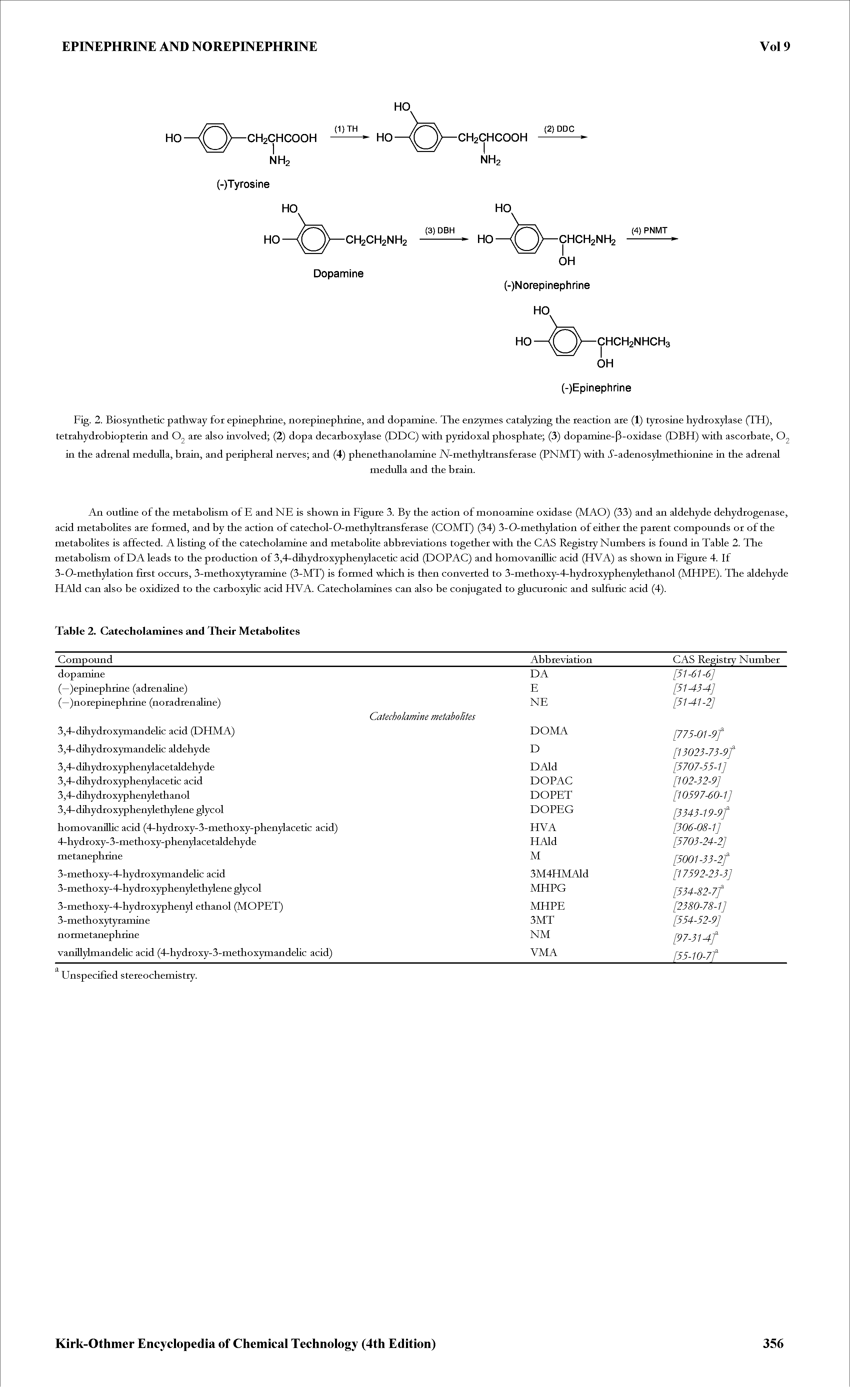 Fig. 2. Biosynthetic pathway for epinephrine, norepinephrine, and dopamine. The enzymes cataly2ing the reaction are (1) tyrosine hydroxylase (TH), tetrahydrobiopterin and O2 are also involved (2) dopa decarboxylase (DDC) with pyridoxal phosphate (3) dopamine-P-oxidase (DBH) with ascorbate, O2 in the adrenal medulla, brain, and peripheral nerves and (4) phenethanolamine A/-methyltransferase (PNMT) with. Cadenosylmethionine in the adrenal...