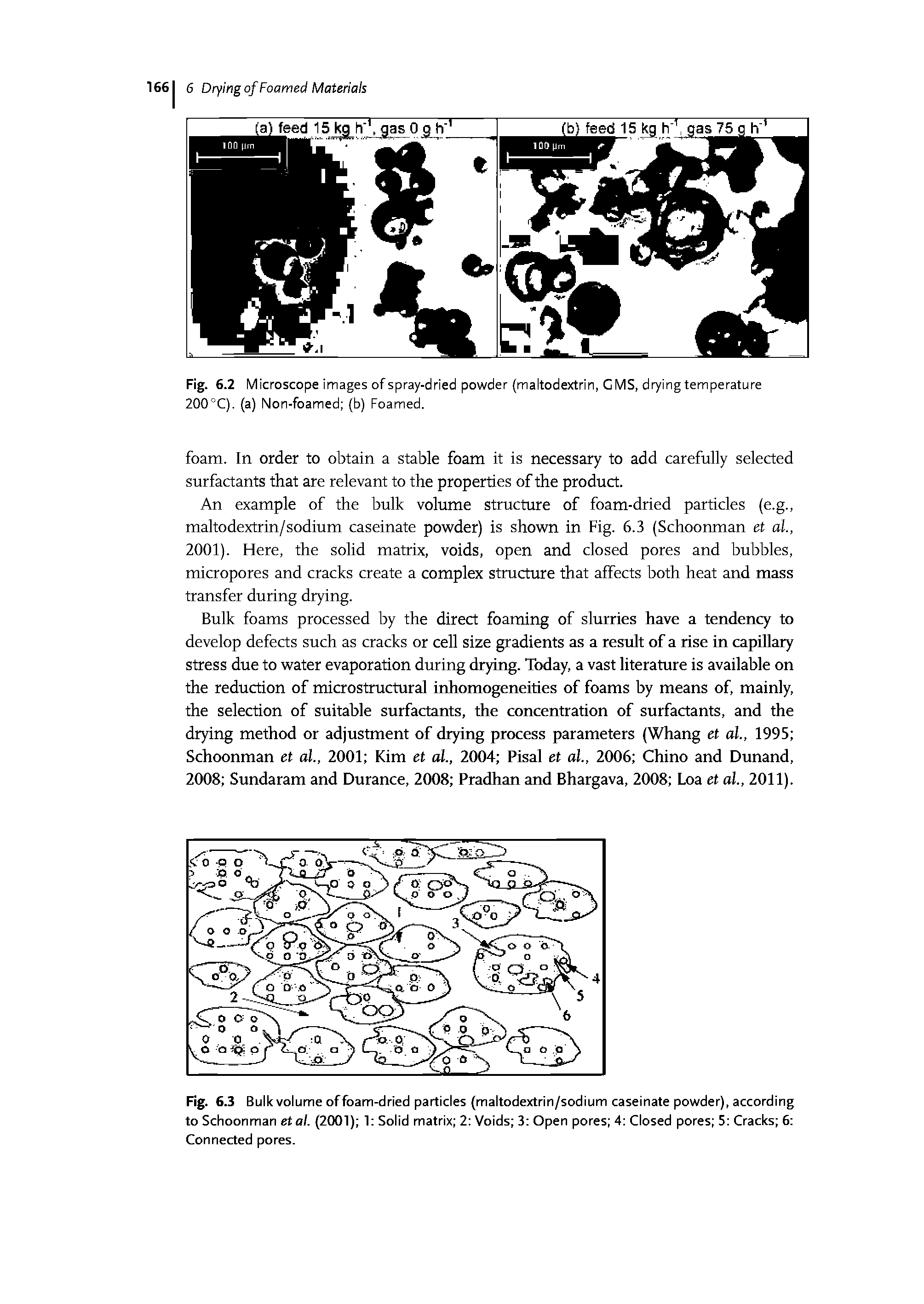 Fig. 63 Bulk volume of foam-dried particles (maltodextrin/sodium caseinate powder), according to Schoonman etal. (2001) 1 Solid matrix 2 Voids 3 Open pores 4 Closed pores 5 Cracks 6 Connected pores.