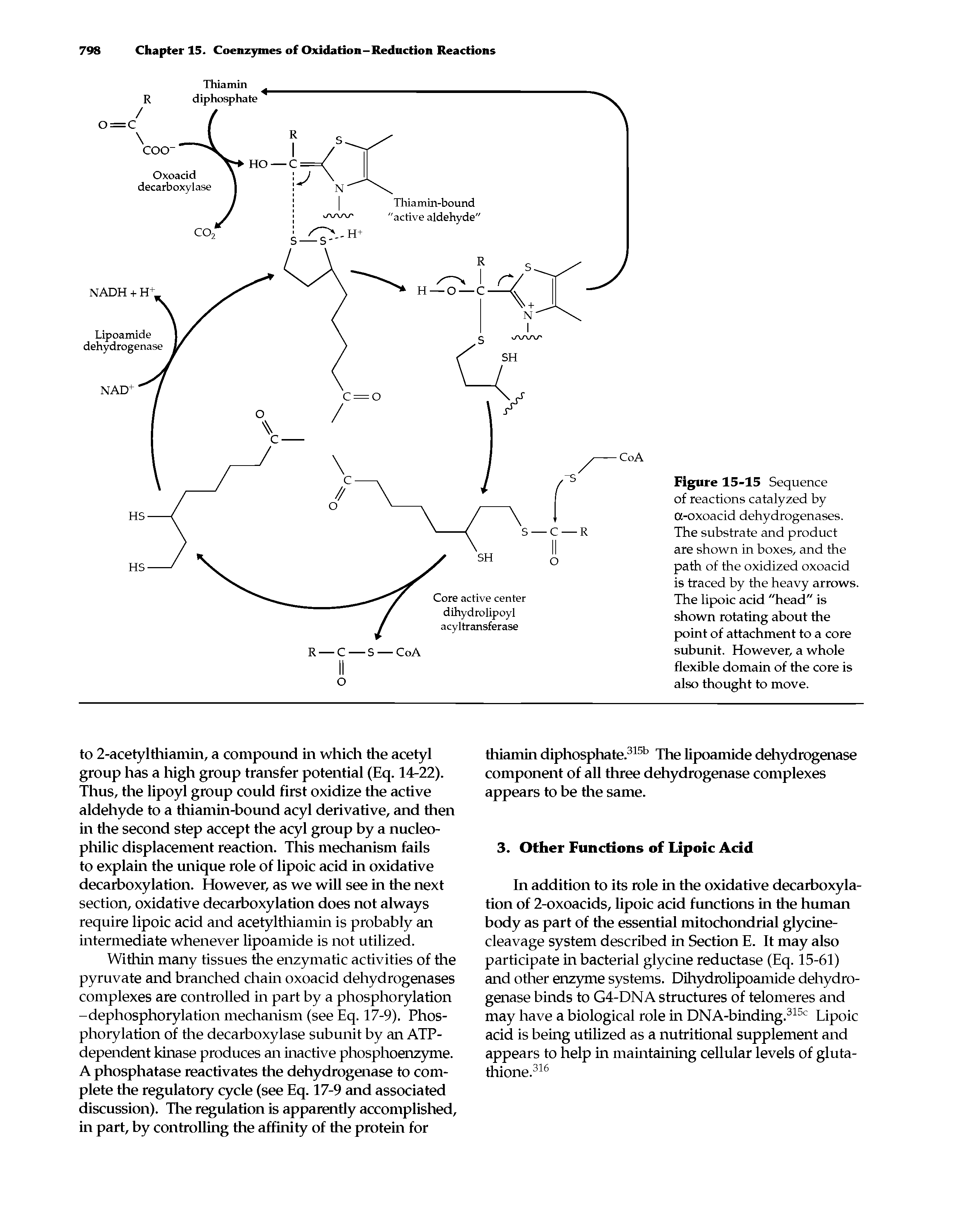 Figure 15-15 Sequence of reactions catalyzed by a-oxoacid dehydrogenases. The substrate and product are shown in boxes, and the path of the oxidized oxoacid is traced by the heavy arrows. The lipoic acid "head" is shown rotating about the point of attachment to a core subunit. However, a whole flexible domain of the core is also thought to move.