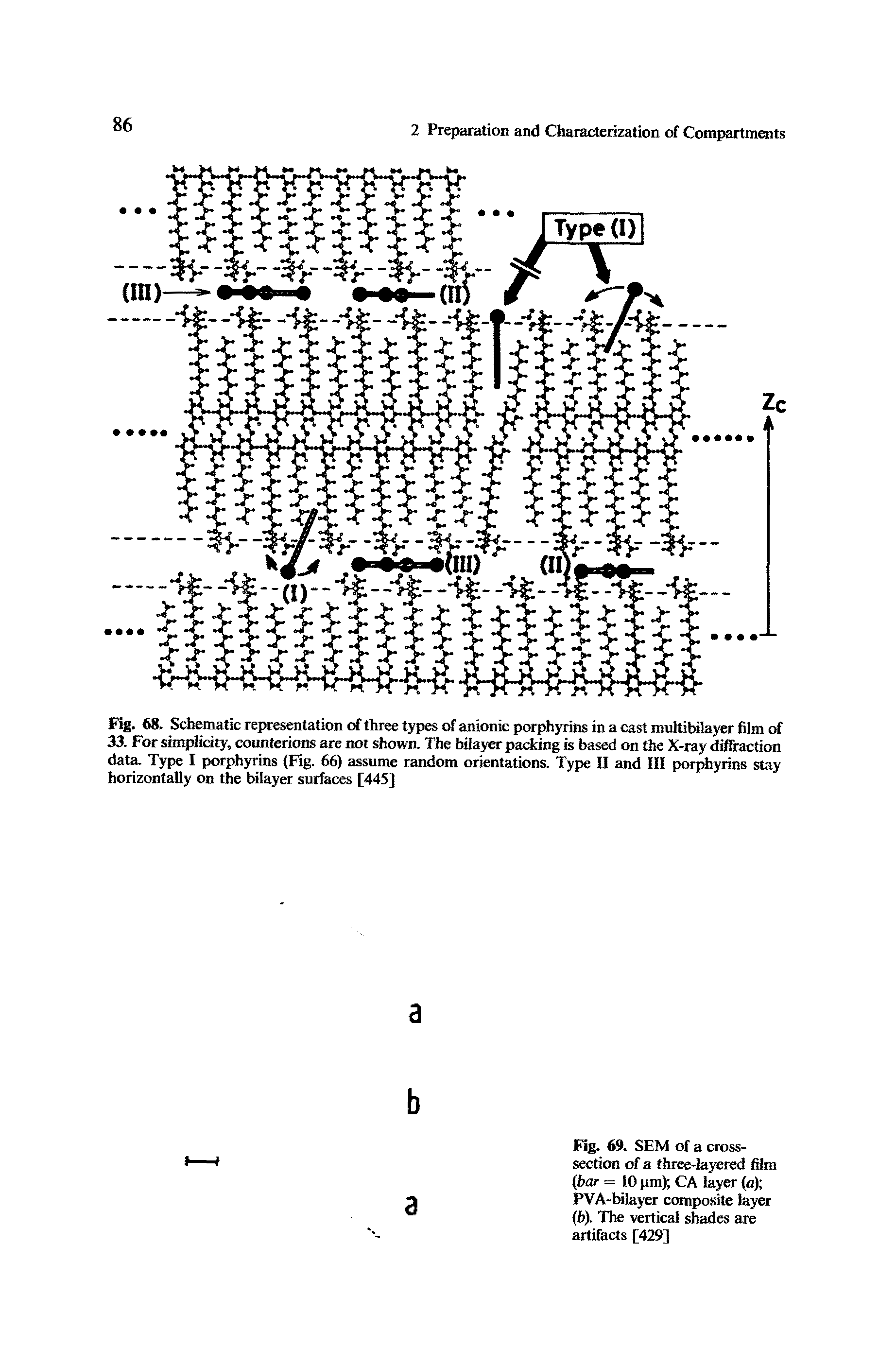 Fig. 69. SEM of a cross-section of a three-layered film (bar = (0 pm) CA layer (a) PVA-bilayer composite layer (6). The vertical shades are artifacts [429]...