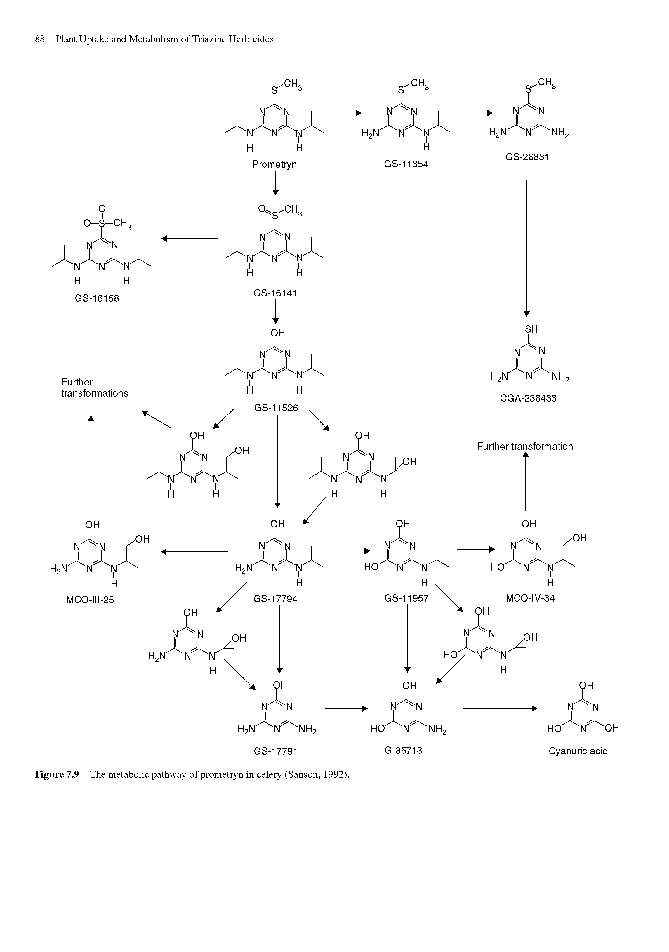 Figure 7.9 The metabolic pathway of prometryn in celery (Sanson, 1992).
