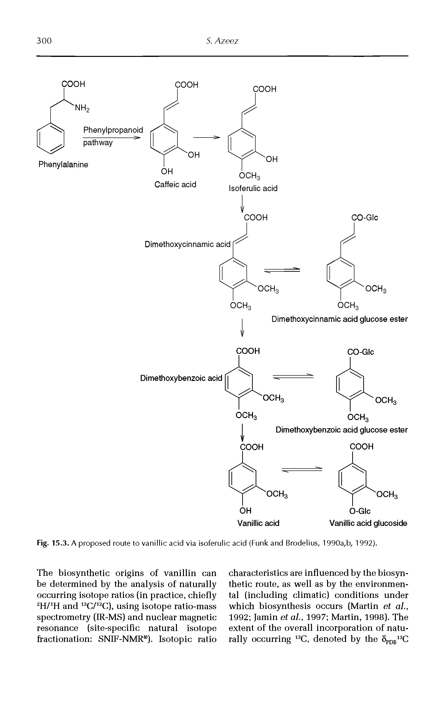 Fig. 15.3. A proposed route to vanillic acid via isoferulic acid (Funk and Brodelius, 1990a,b, 1992).