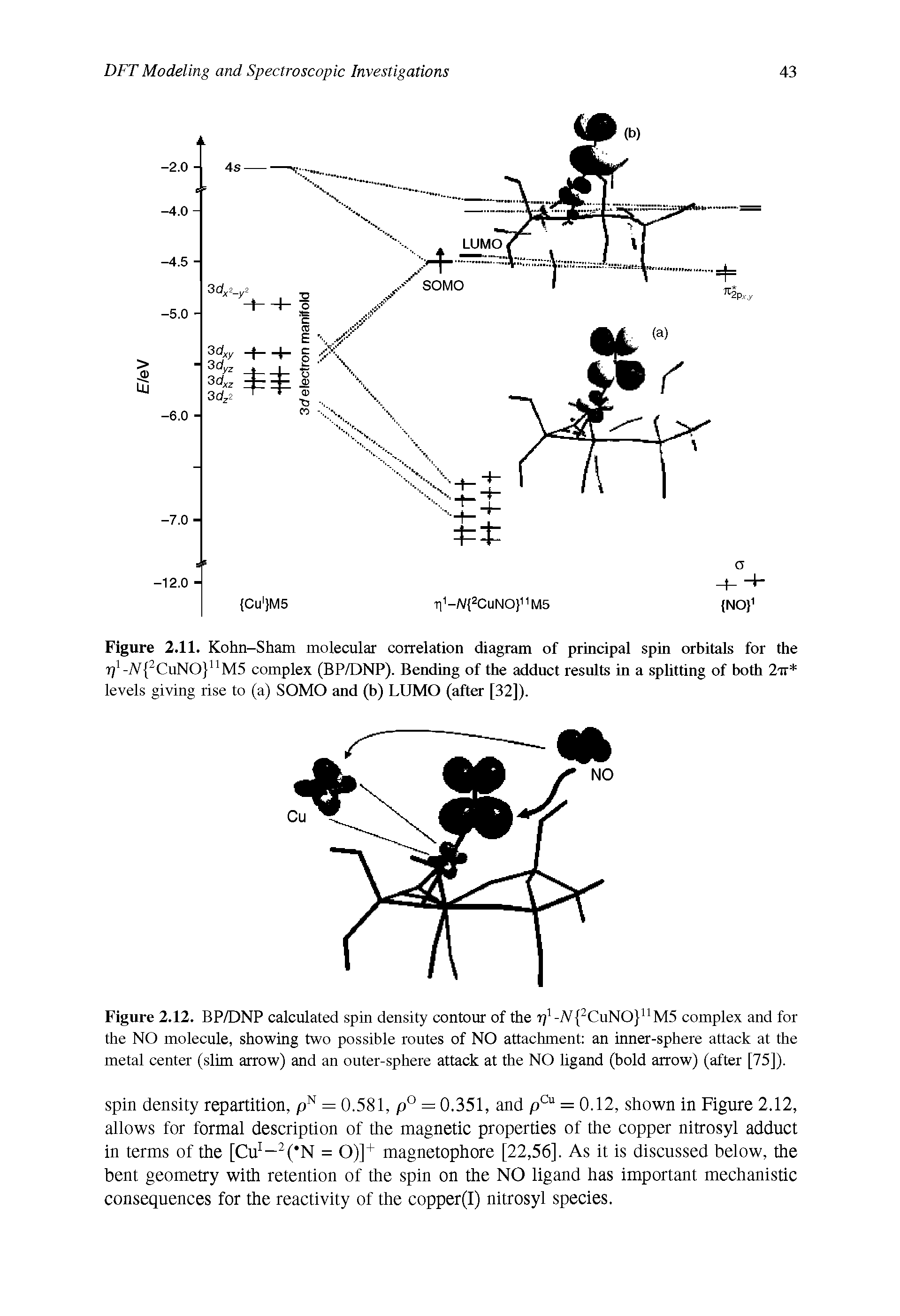 Figure 2.12. BP/DNP calculated spin density contour of the r/-/V 2CuNO nM5 complex and for the NO molecule, showing two possible routes of NO attachment an inner-sphere attack at the metal center (slim arrow) and an outer-sphere attack at the NO ligand (bold arrow) (after [75]).