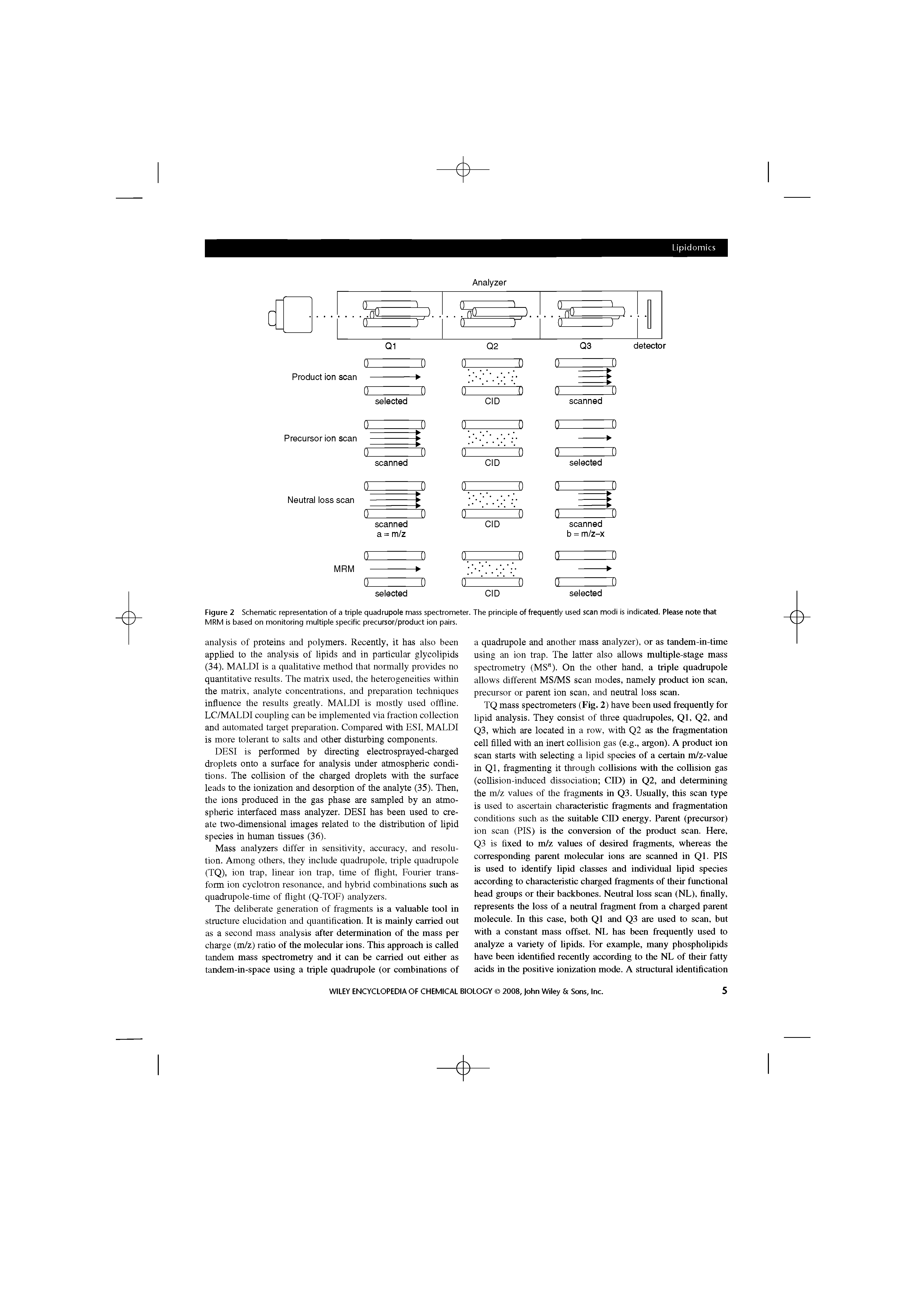 Figure 2 Schematic representation of a triple quadrupole mass spectrometer. The principle of frequently used scan modi is indicated. Please note that MRM is based on monitoring multiple specific precursor/product ion pairs.