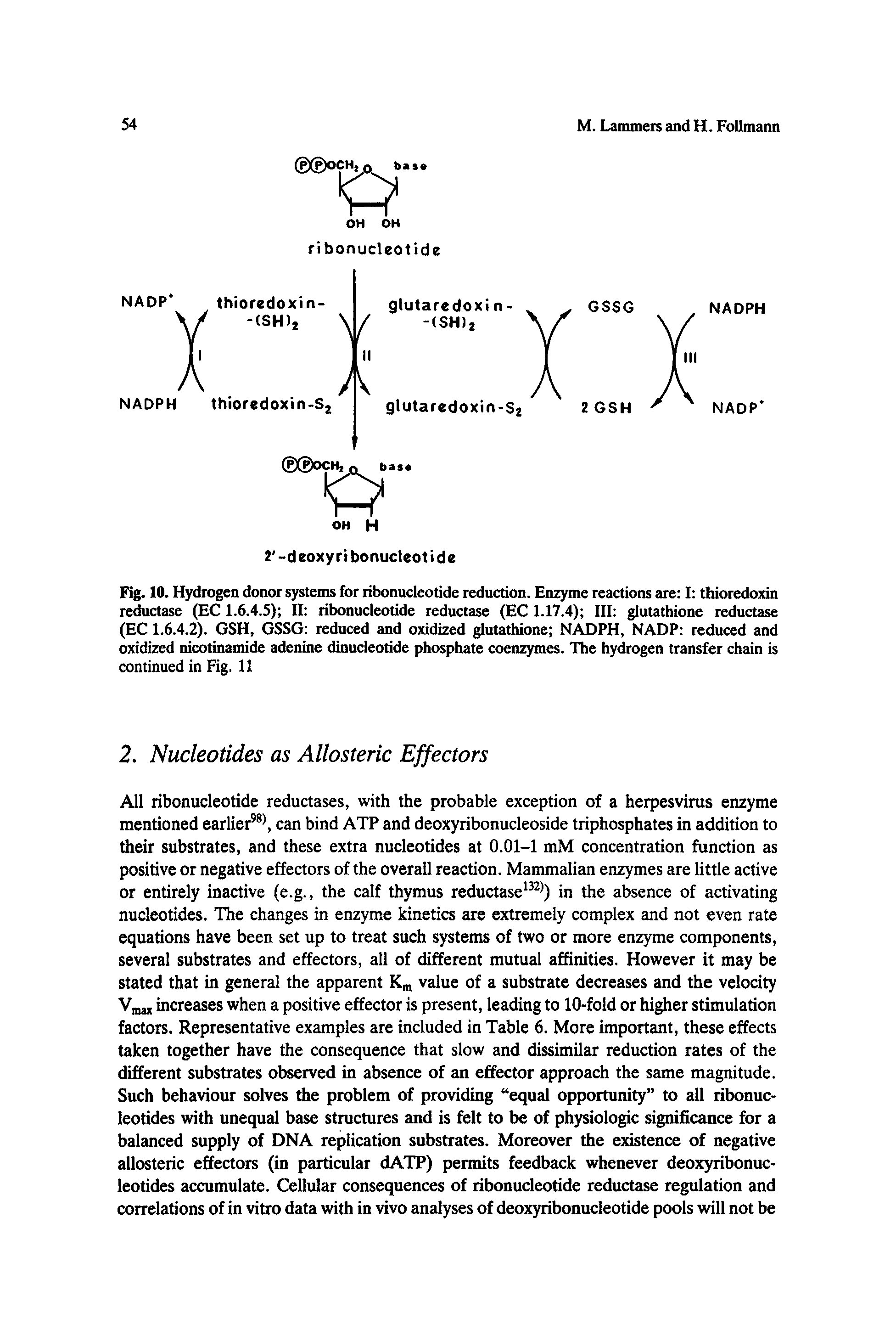 Fig. 10. Hydrogen donor systems for ribonucleotide reduction. Enzyme reactions are I thioredoxin reductase (EC 1.6.4.5) II ribonucleotide reductase (EC 1.17.4) III glutathione reductase (EC 1.6.4.2). GSH, GSSG reduced and oxidized glutathione NADPH, NADP reduced and oxidized nicotinamide adenine dinucleotide phosphate coenzymes. The hydrogen transfer chain is continued in Fig. II...