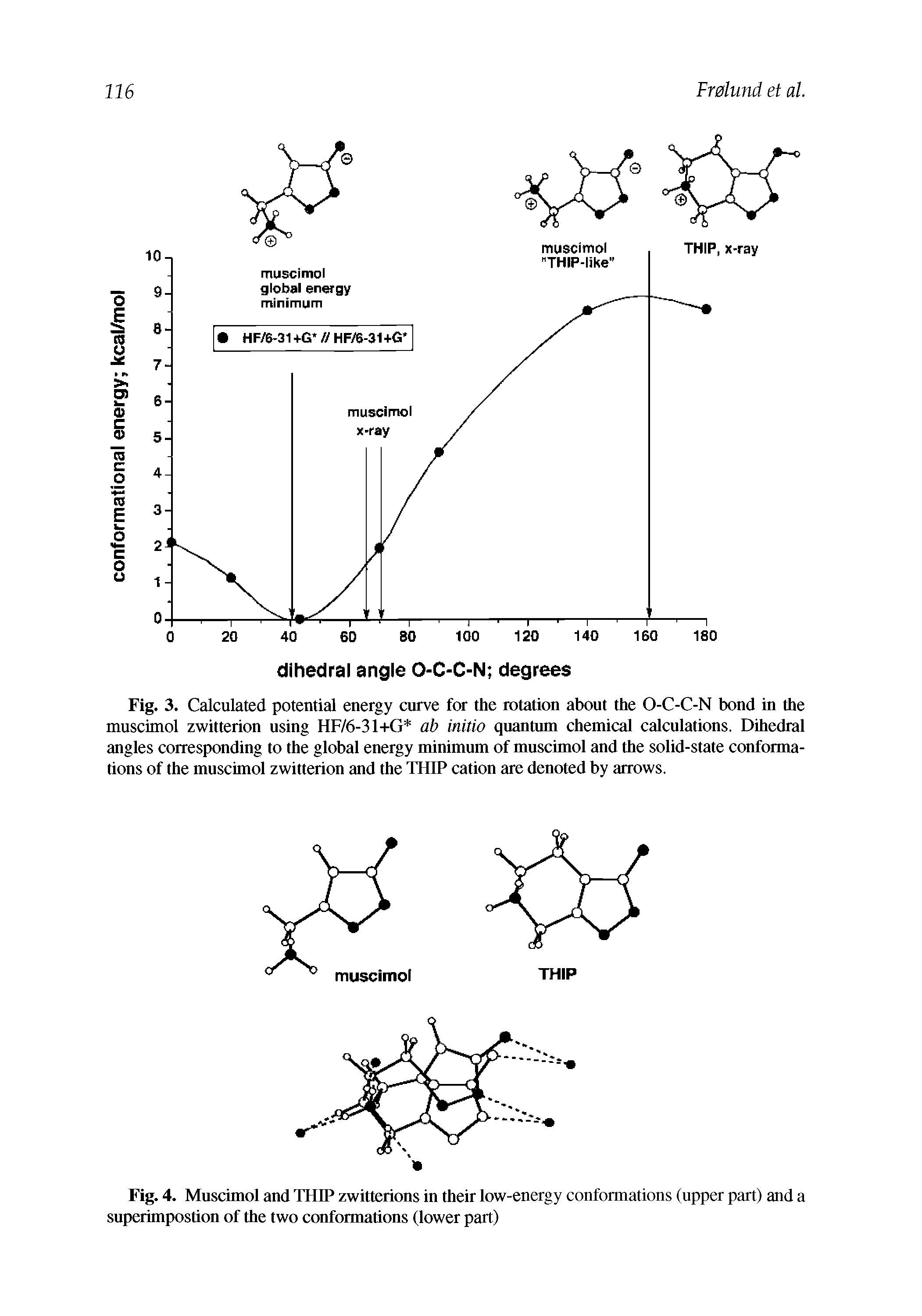 Fig. 3. Calculated potential energy curve for the rotation about the O-C-C-N bond in the muscimol zwitterion using HF/6-31+G ab initio quantum chemical calculations. Dihedral angles corresponding to the global energy minimum of muscimol and the solid-state conformations of the muscimol zwitterion and the THIP cation are denoted by arrows.