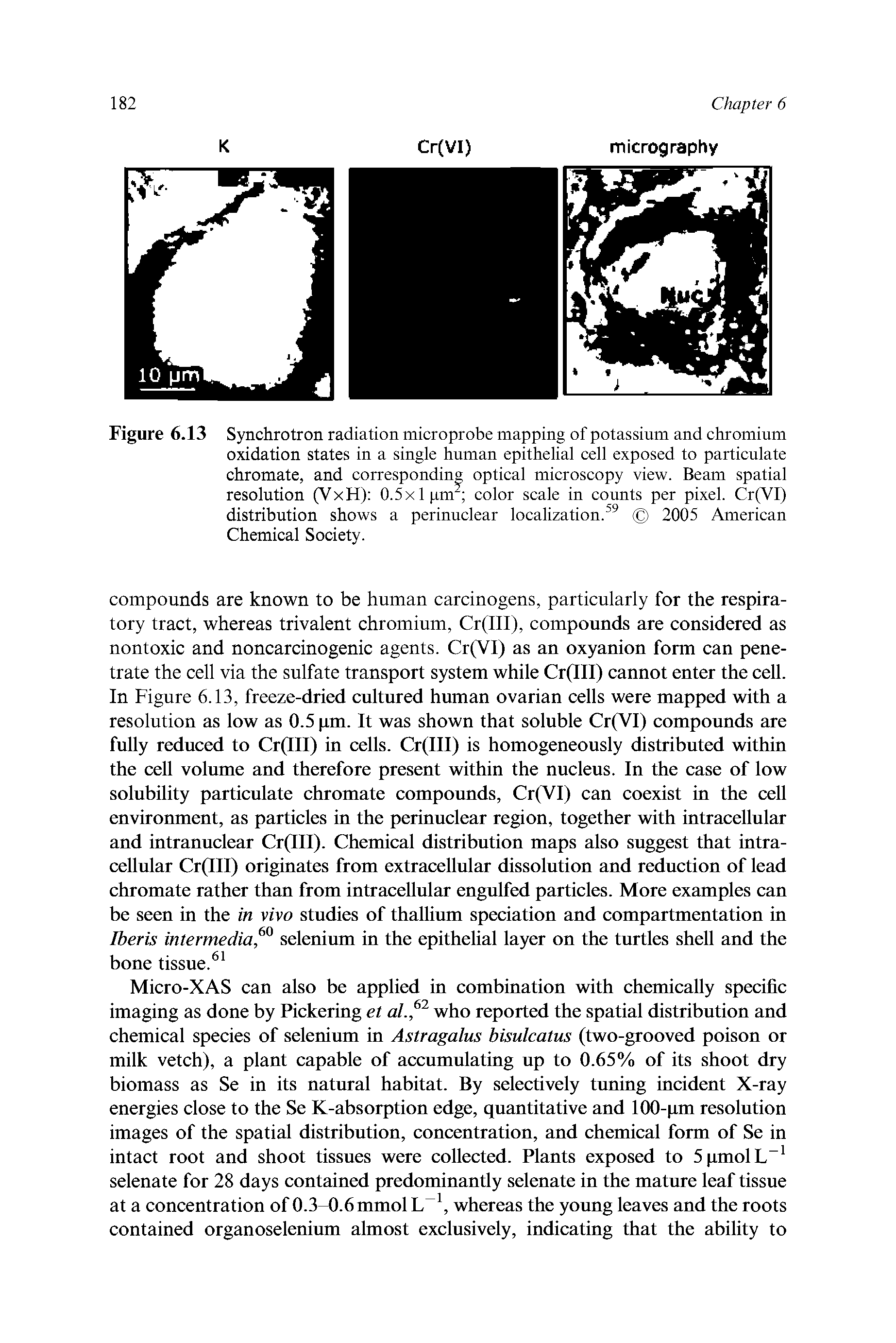 Figure 6.13 Synchrotron radiation microprobe mapping of potassium and chromium oxidation states in a single human epithelial cell exposed to particulate chromate, and corresponding optical microscopy view. Beam spatial resolution (VxH) 0.5x1 pm, color scale in counts per pixel. Cr(VI) distribution shows a perinuclear localization. 2005 American Chemical Society.