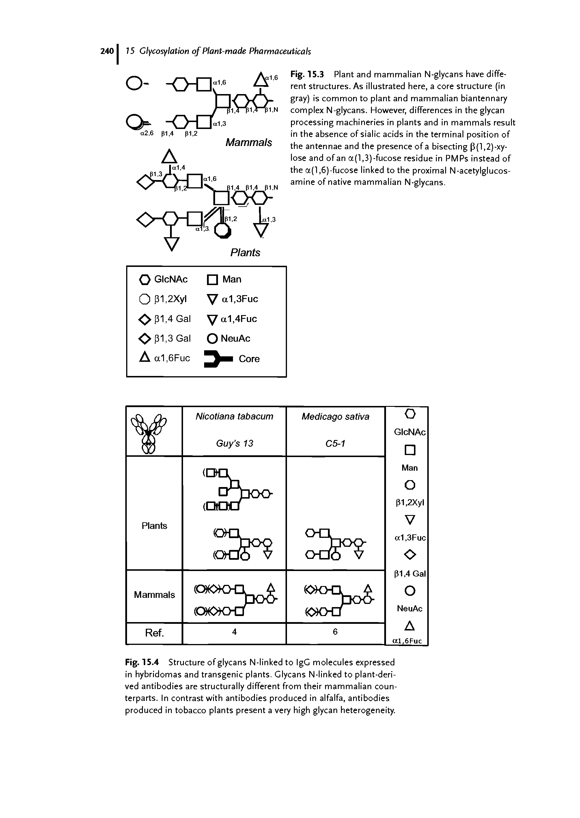 Fig. 15.3 Plant and mammalian N-glycans have different structures. As illustrated here, a core structure (in gray) is common to plant and mammalian biantennary complex N-glycans. However, differences in the glycan processing machineries in plants and in mammals result in the absence of sialic acids in the terminal position of the antennae and the presence of a bisecting p (1,2) -xylose and of an a(l,3)-fucose residue in PMPs instead of the a(l,6)-fucose linked to the proximal N-acetylglucos-amine of native mammalian N-glycans.