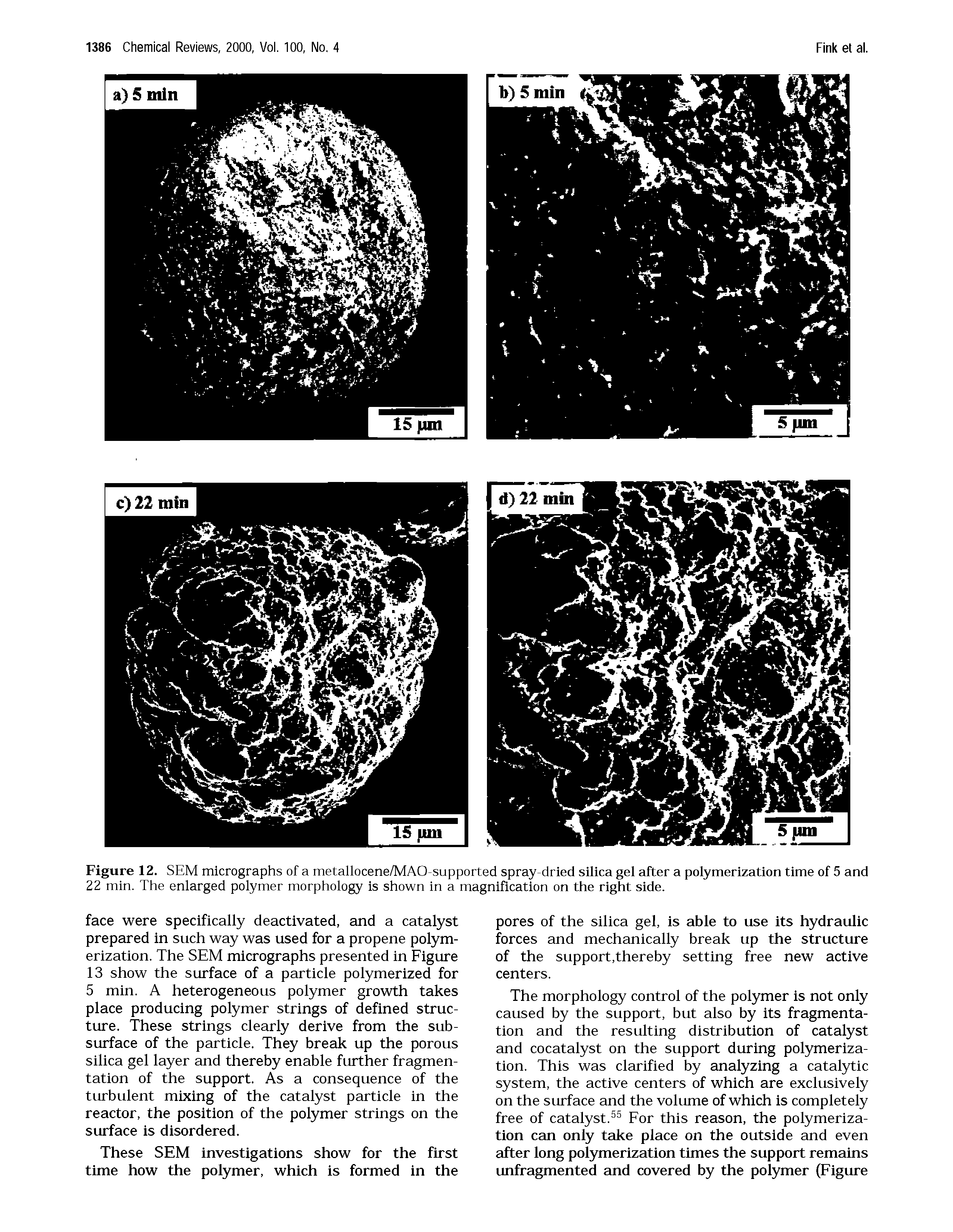 Figure 12. SEM micrographs of a metallocene/MAO-supported spray-dried silica gel after a polymerization time of 5 and 22 min. The enlarged polymer morphology is shown in a magnification on the right side.