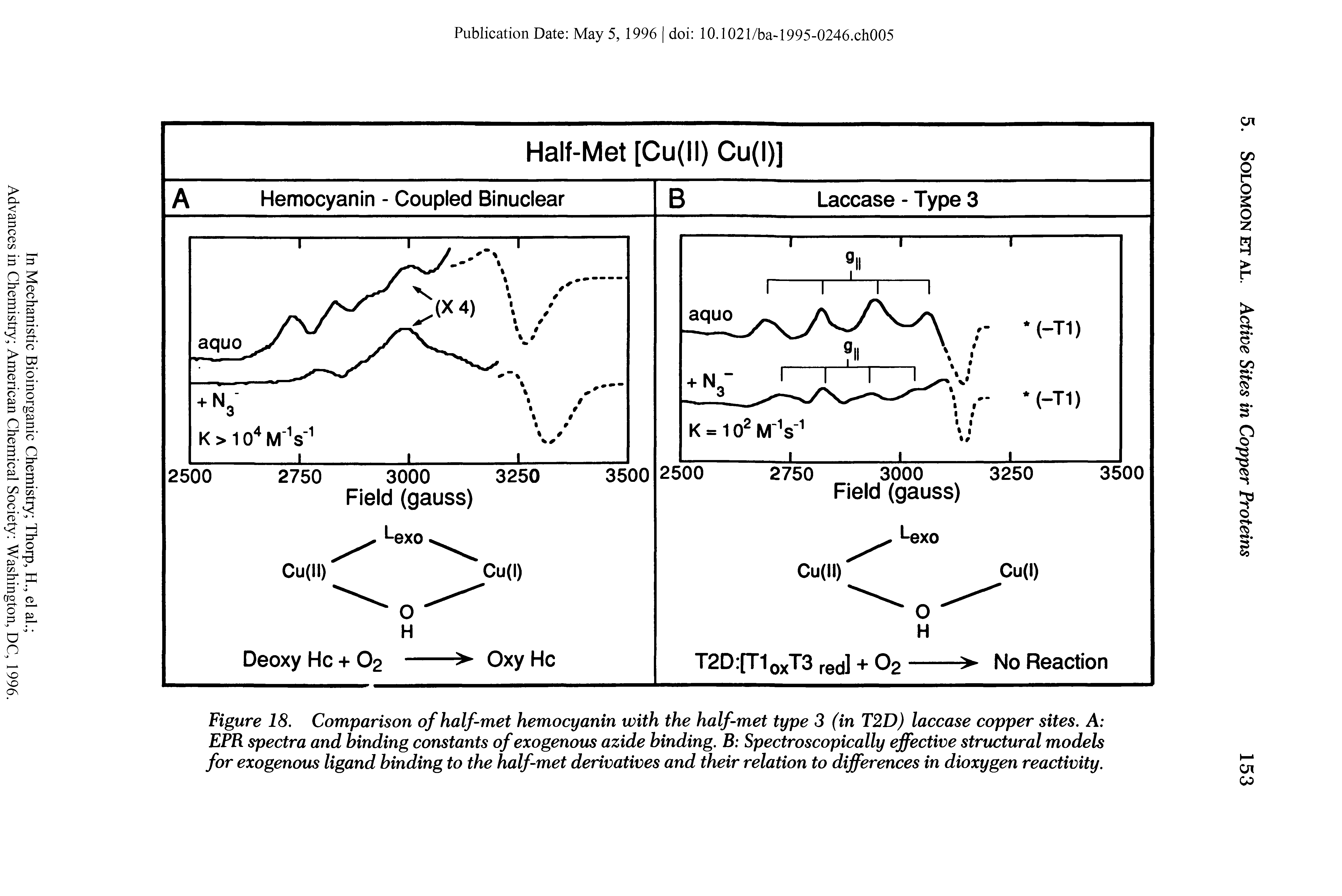 Figure 18. Comparison of half-met hemocyanin with the half-met type 3 (in T2D) laccase copper sites. A EPR spectra and binding constants of exogenous azide binding. B Spectroscopically effective structural models for exogenous ligand binding to the half-met derivatives and their relation to differences in dioxygen reactivity.