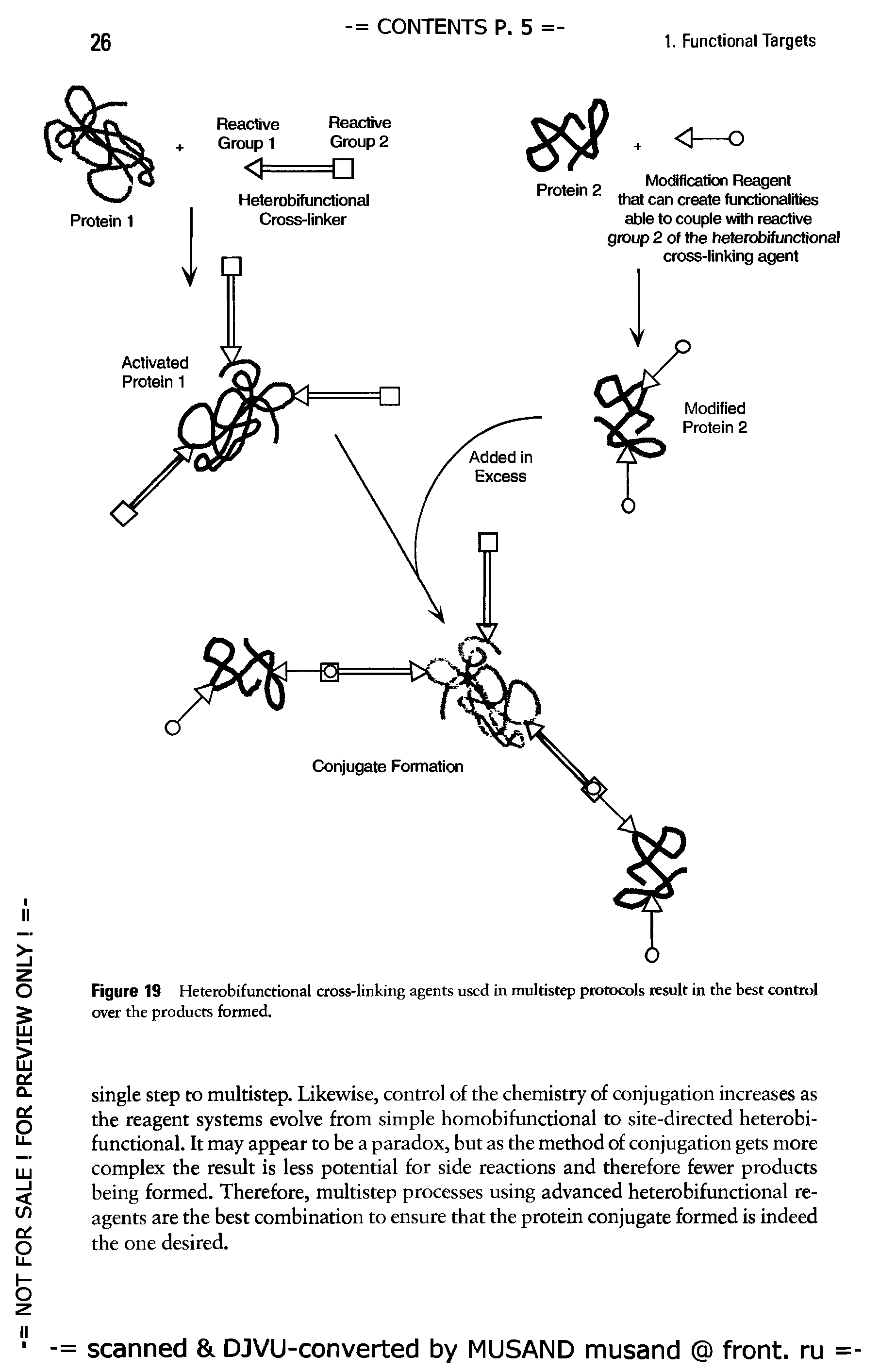 Figure 19 Heterobifunctional cross-linking agents used in multistep protocols result in the best control over the products formed.