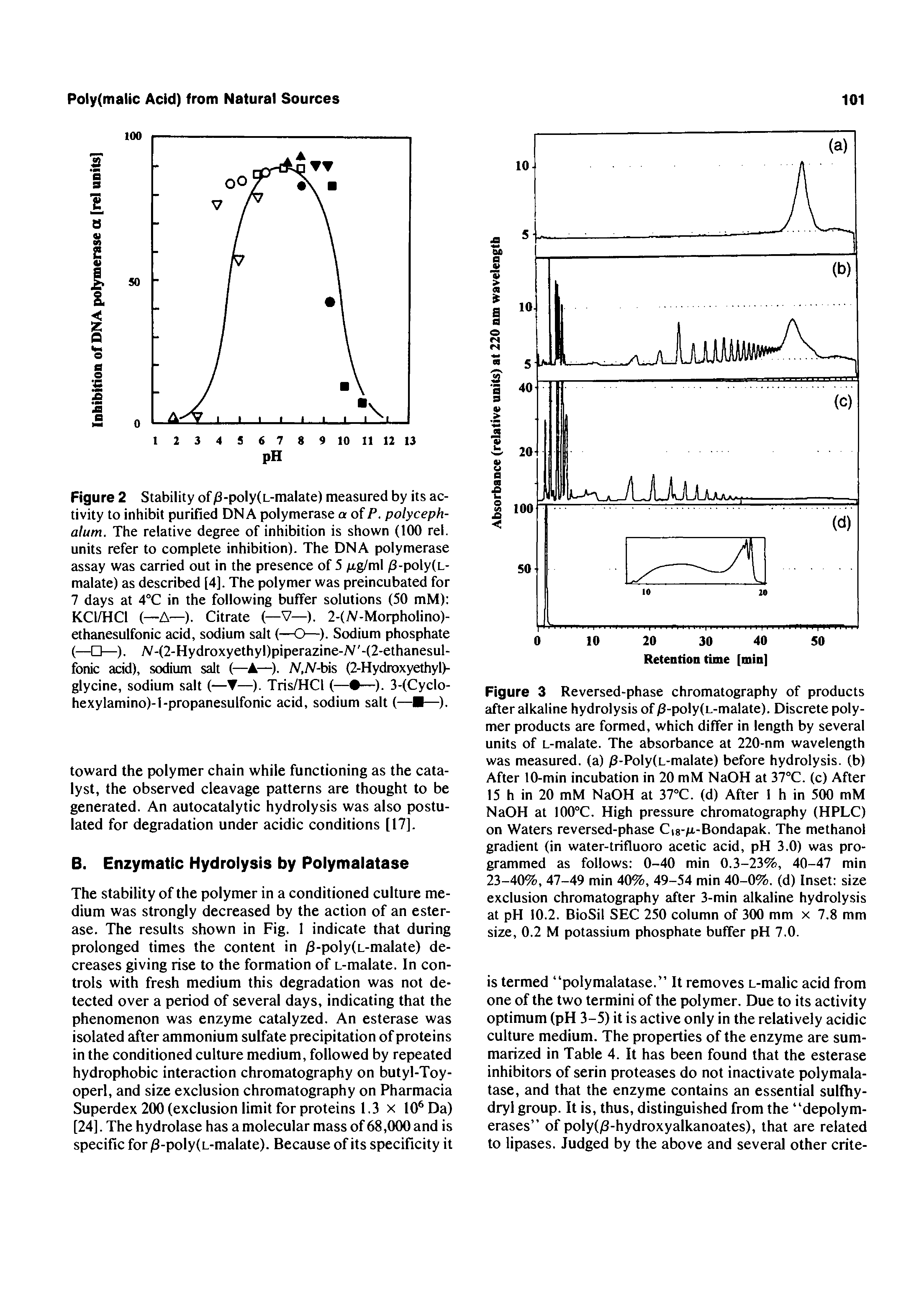 Figure 3 Reversed-phase chromatography of products after alkaline hydrolysis of /3-poly(L-malate), Discrete polymer products are formed, which differ in length by several units of L-malate. The absorbance at 220-nm wavelength was measured, (a) /3-Poly(L-malate) before hydrolysis, (b) After 10-min incubation in 20 mM NaOH at 37°C. (c) After 15 h in 20 mM NaOH at 37°C. (d) After I h in 500 mM NaOH at 100°C. High pressure chromatography (HPLC) on Waters reversed-phase Ci8- i-Bondapak. The methanol gradient (in water-trifluoro acetic acid, pH 3.0) was programmed as follows 0-40 min 0.3-23%, 40-47 min 23-40%, 47-49 min 40%, 49-54 min 40-0%. (d) Inset size exclusion chromatography after 3-min alkaline hydrolysis at pH 10.2. BioSil SEC 250 column of 300 mm x 7.8 mm size, 0.2 M potassium phosphate buffer pH 7.0.