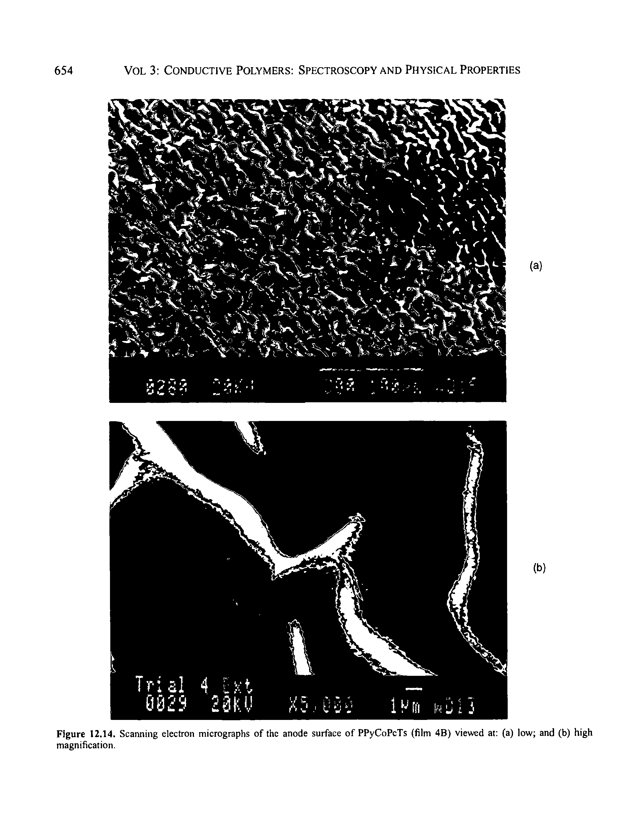 Figure 12.14. Scanning electron micrographs of the anode surface of PPyCoPcTs (film 4B) viewed at (a) low and (b) high magnification.