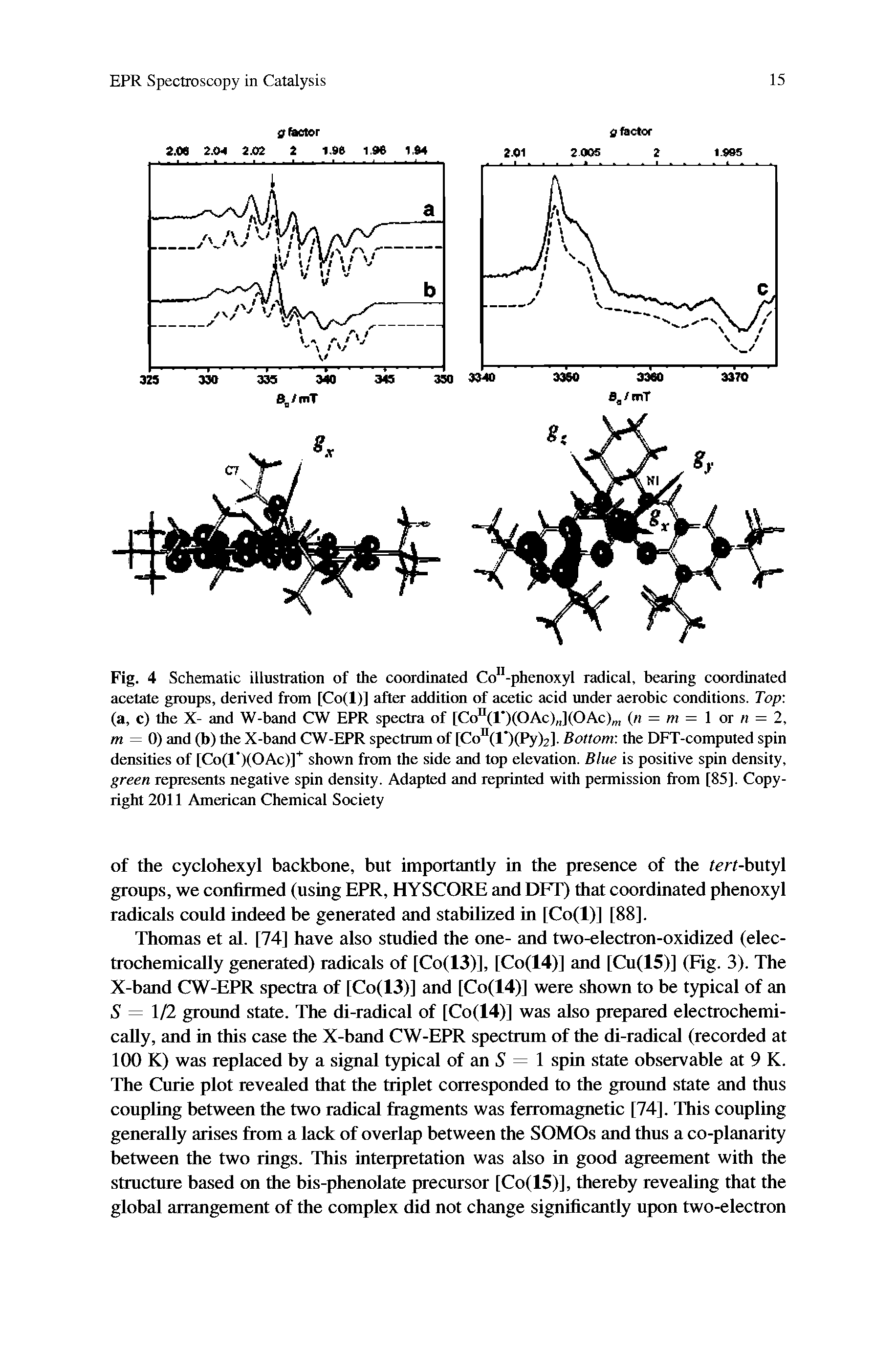 Fig. 4 Schematic illustration of the coordinated Co -phenoxyl radical, bearing coordinated acetate groups, derived from [Co(l)] after addition of acetic acid under aerobic conditions. Top (a, c) the X- and W-band CW EPR spectra of [Co°(r)(OAc) ](OAc) (n = m = 1 or n = 2, m = G) and (b) the X-band CW-EPR spectrum of [Co (l )(Py)2]. Bottom the DFT-computed spin densities of [Co(l )(OAc)] shown from the side and top elevation. Blue is positive spin density, green represents negative spin density. Adapted and reprinted with permission from [85]. Copyright 2011 American Chemical Society...