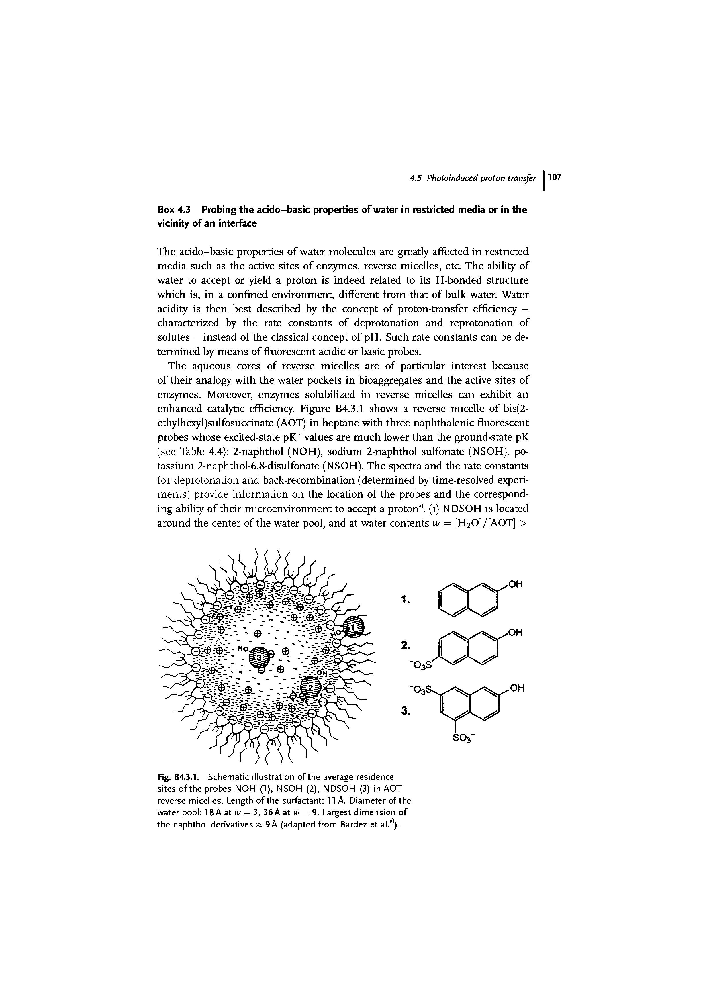 Fig. B4.3.1. Schematic illustration of the average residence sites of the probes NOH (1), NSOH (2), NDSOH (3) in AOT reverse micelles. Length of the surfactant 11 A. Diameter of the water pool 18A at w = 3, 36A at w = 9. Largest dimension of the naphthol derivatives 9 A (adapted from Bardez et al.a ).