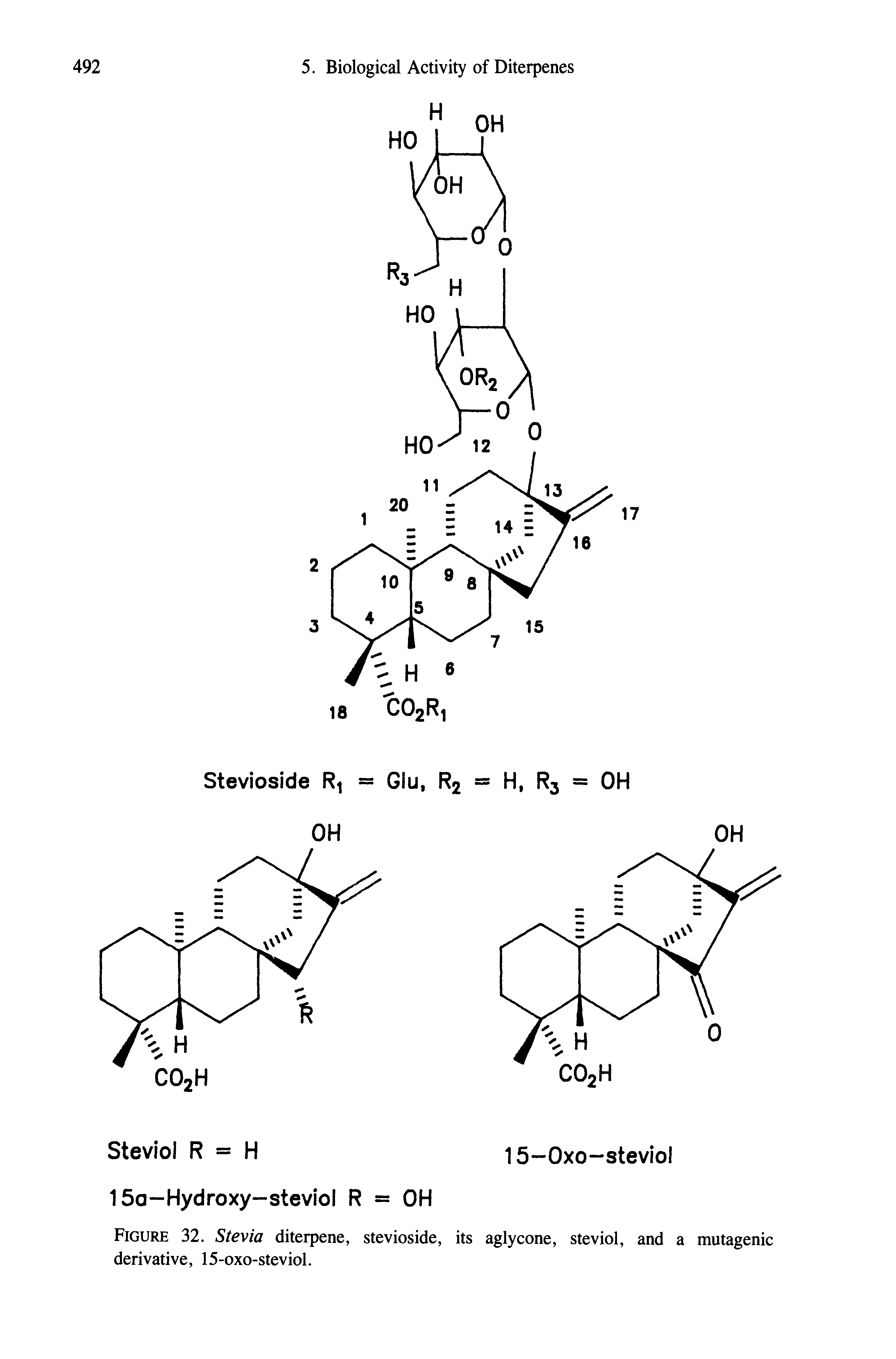Figure 32. Stevia diterpene, stevioside, its aglycone, steviol, and a mutagenic derivative, 15-oxo-steviol.
