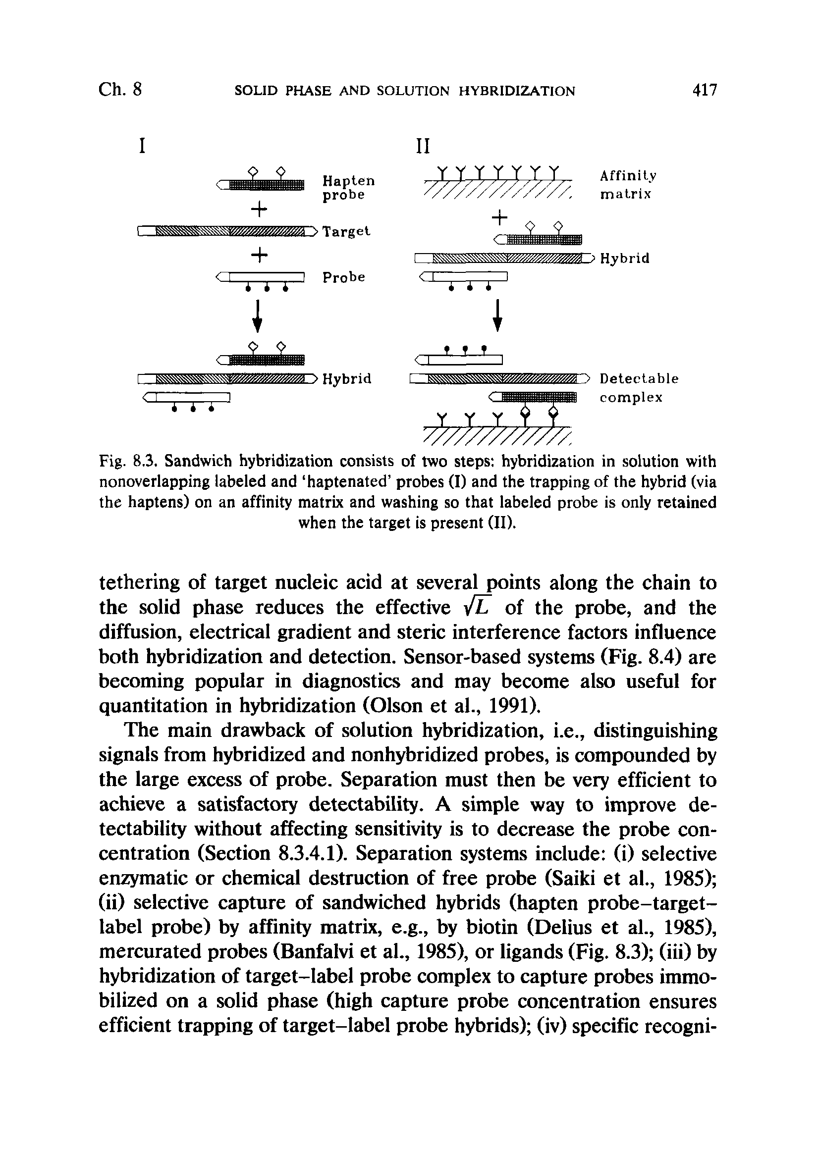 Fig. 8.3. Sandwich hybridization consists of two steps hybridization in solution with nonoverlapping labeled and haptenated probes (I) and the trapping of the hybrid (via the haptens) on an affinity matrix and washing so that labeled probe is only retained when the target is present (ID.